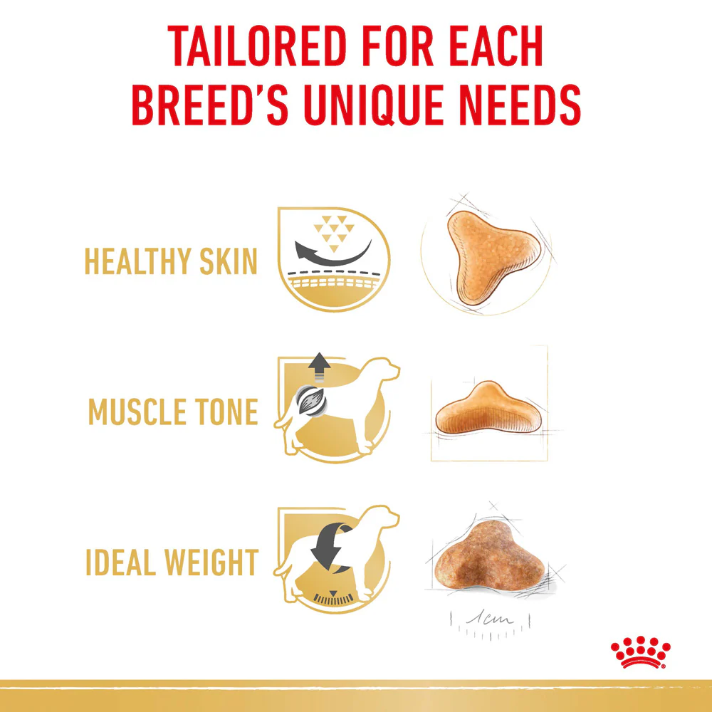 Royal Canin - Pug Breed Adult Dog Dry Food (3kg) - Image 4