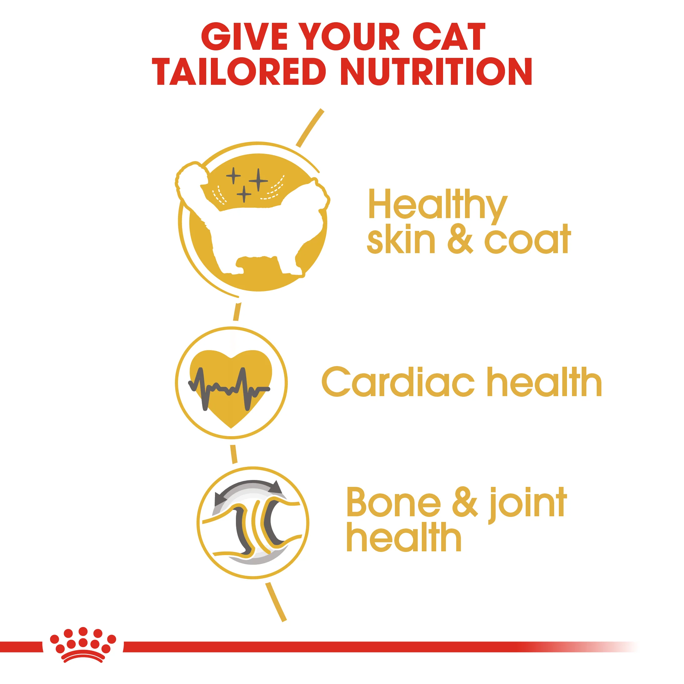 Royal Canin - Ragdoll Breed Adult Cat Dry Food (10kg) - Image 3