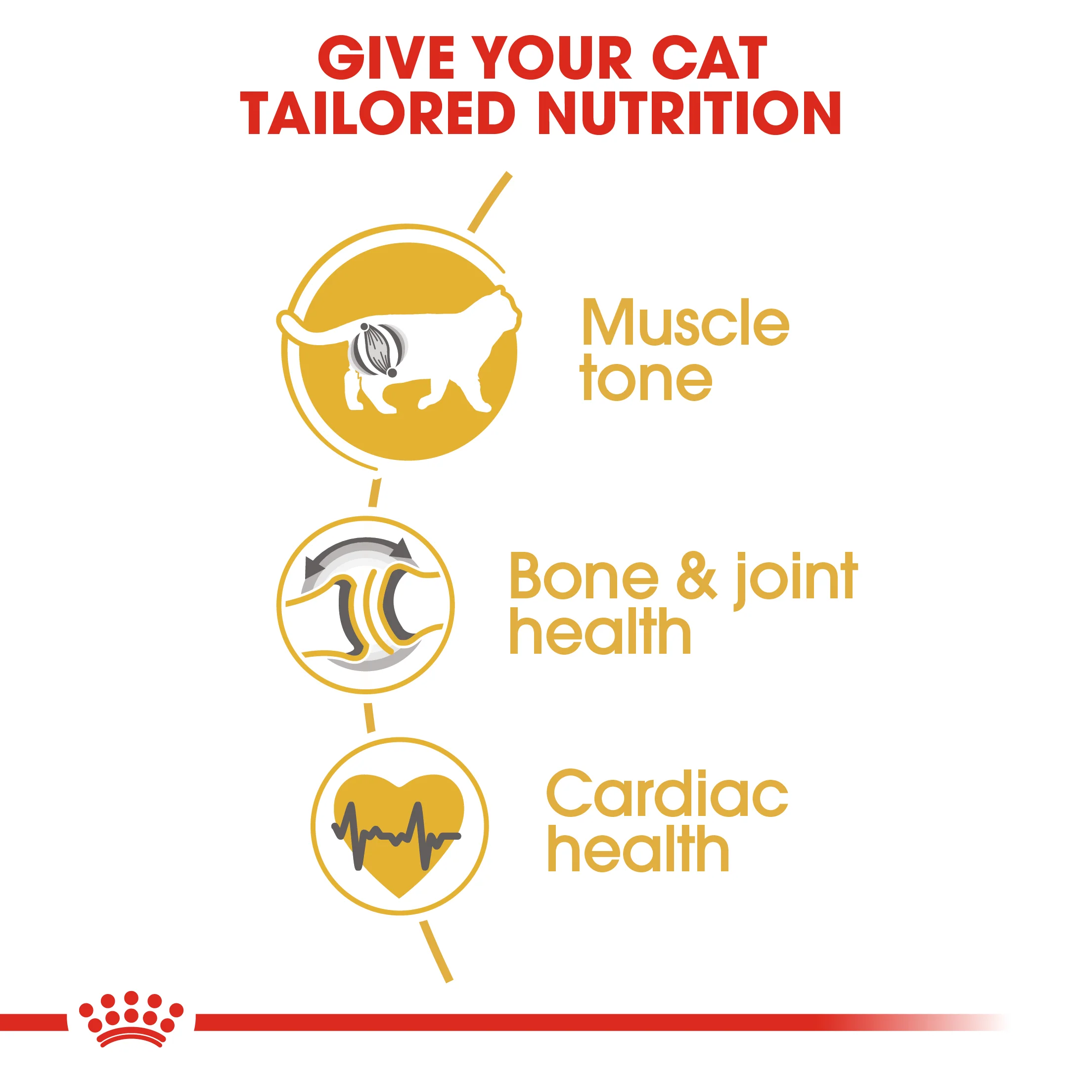 Royal Canin - Ragdoll Breed Adult Cat Dry Food (2kg) - Image 3