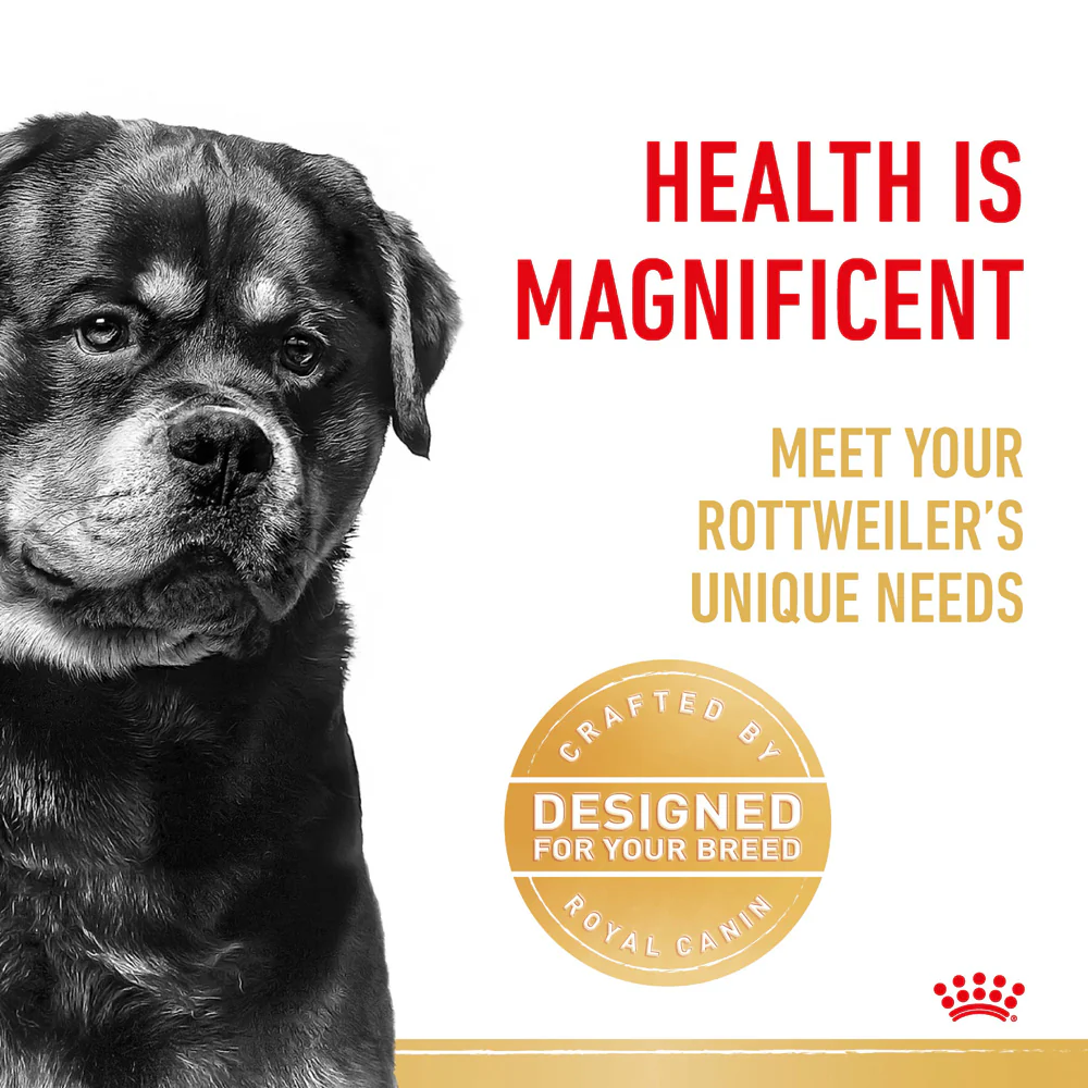 Royal Canin - Rottweiler Breed Adult Dog Dry Food (12kg) - Image 5