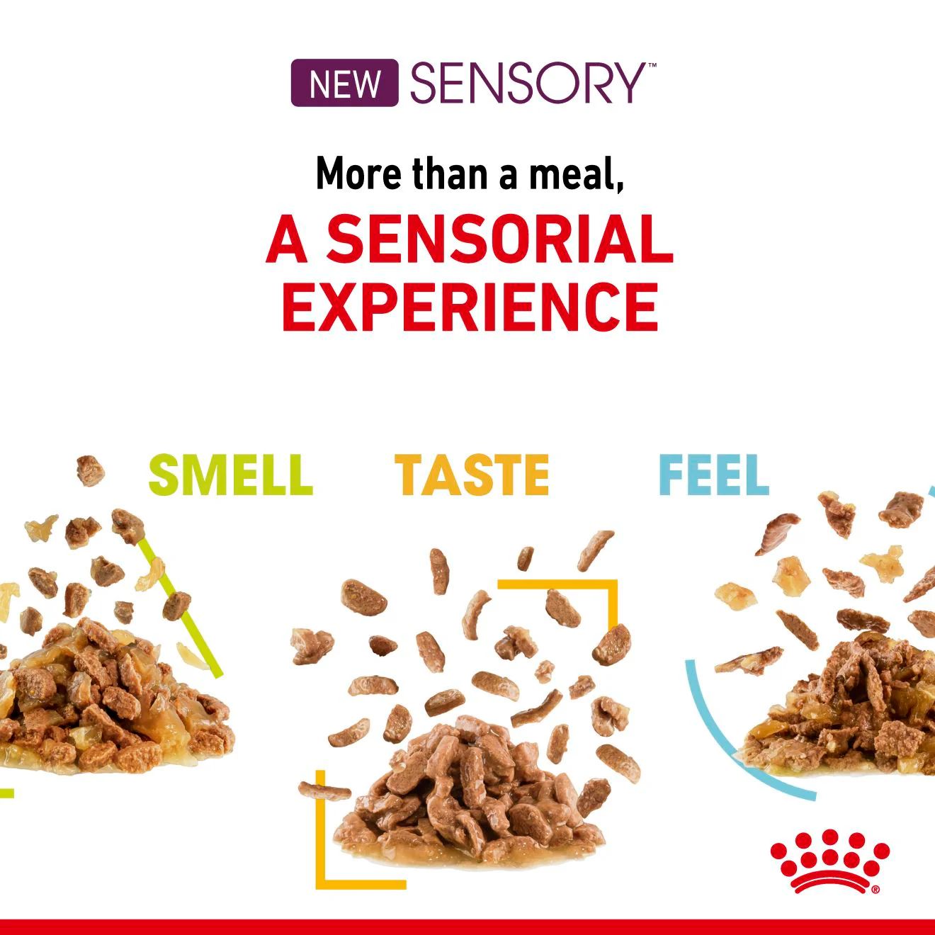 Royal Canin - Sensory Taste Jelly Adult Cat Wet Food (85g x 12pk) - Image 5
