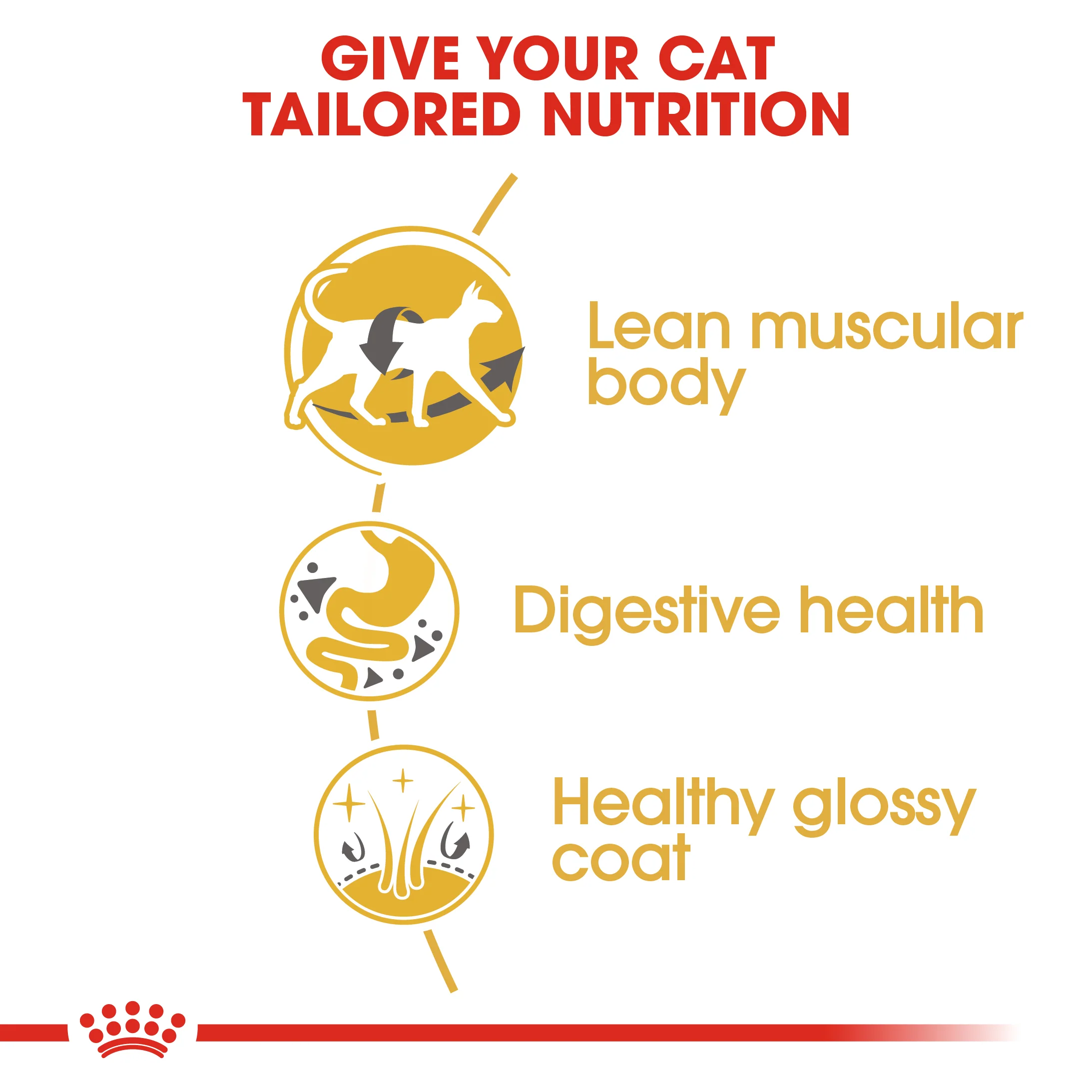 Royal Canin - Siamese Breed Adult Cat Dry Food (4kg) - Image 3
