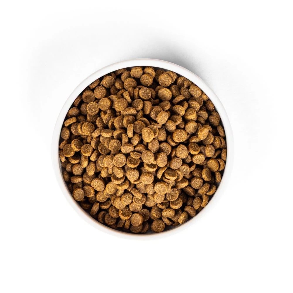 SavourLife Adult Cat Chicken Dry Food (4kg) - Image 11