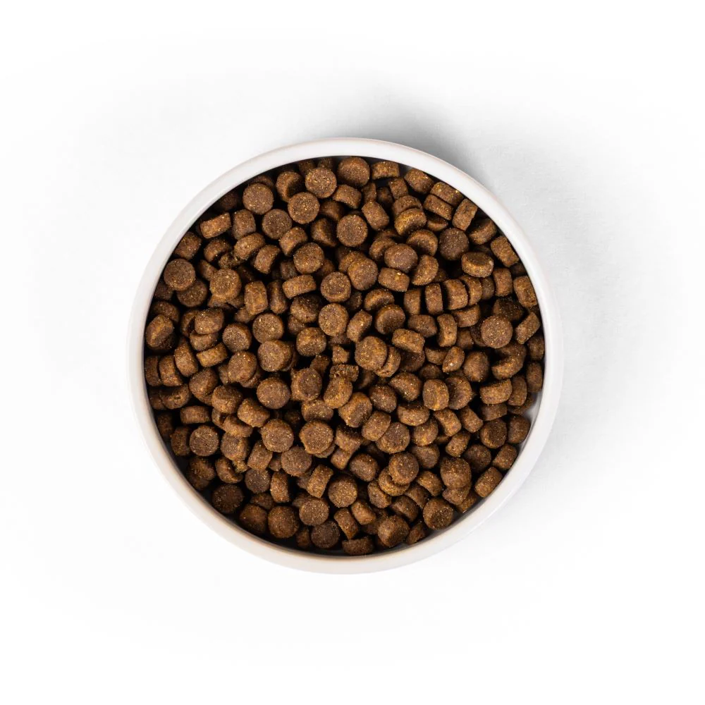 SavourLife Adult Cat Ocean Fish Dry Food (2kg) - Image 11