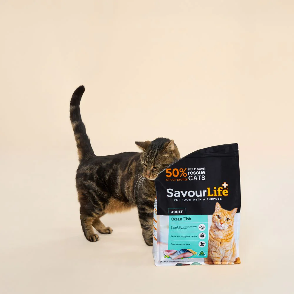 SavourLife Adult Cat Ocean Fish Dry Food (2kg) - Image 13