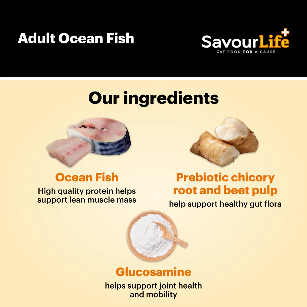 SavourLife Adult Cat Ocean Fish Dry Food (2kg) - Image 8