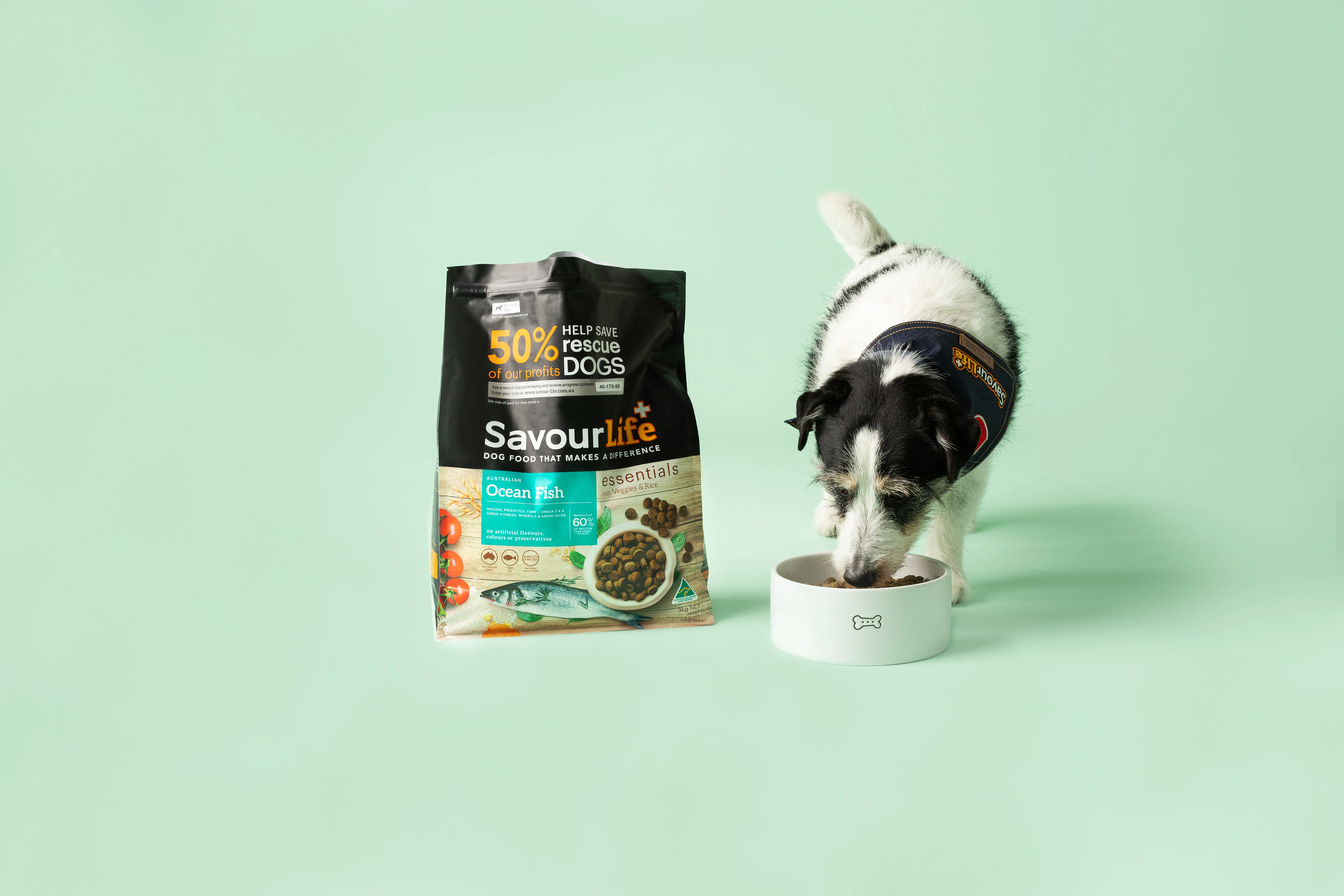 SavourLife - Essentials Ocean Fish Dog Dry Food (15kg) - Image 10