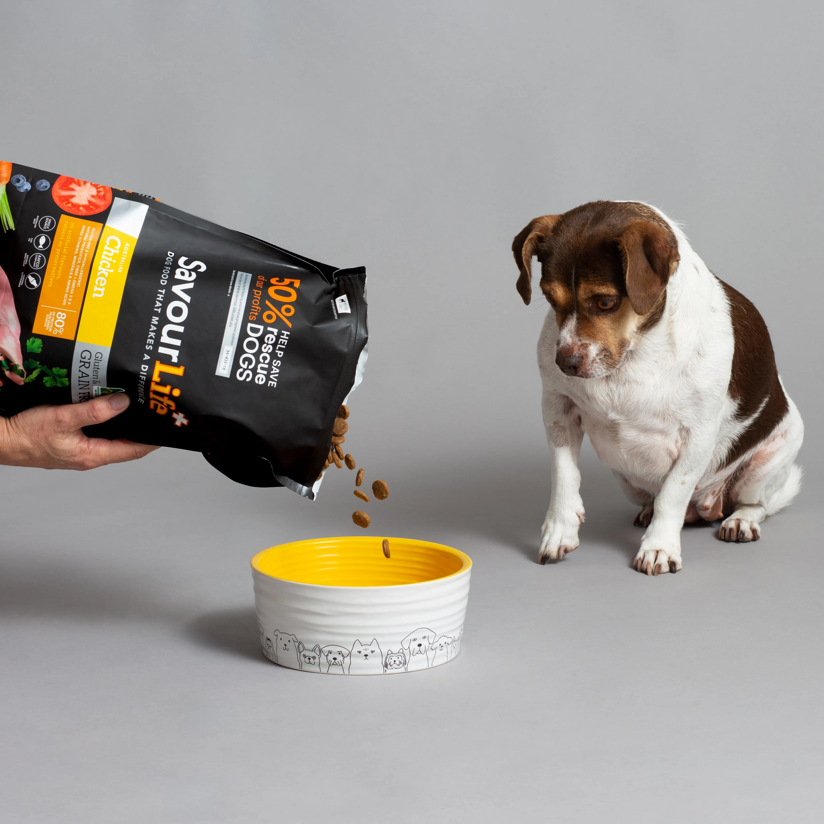 SavourLife - Grain Free Chicken Dog Dry Food (2.5kg) - Image 9