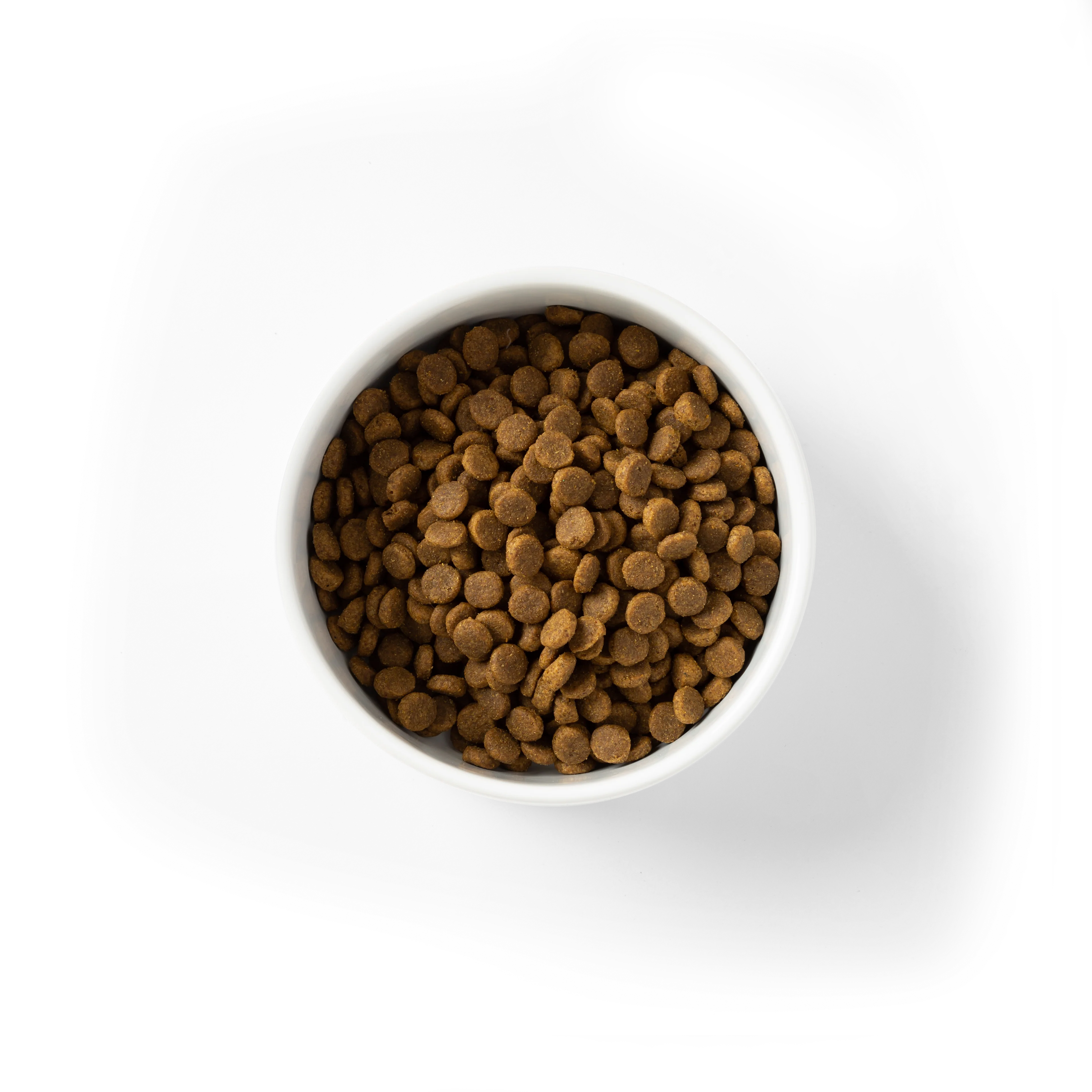 SavourLife - Grain Free Chicken Puppy Dry Food (10kg) - Image 8