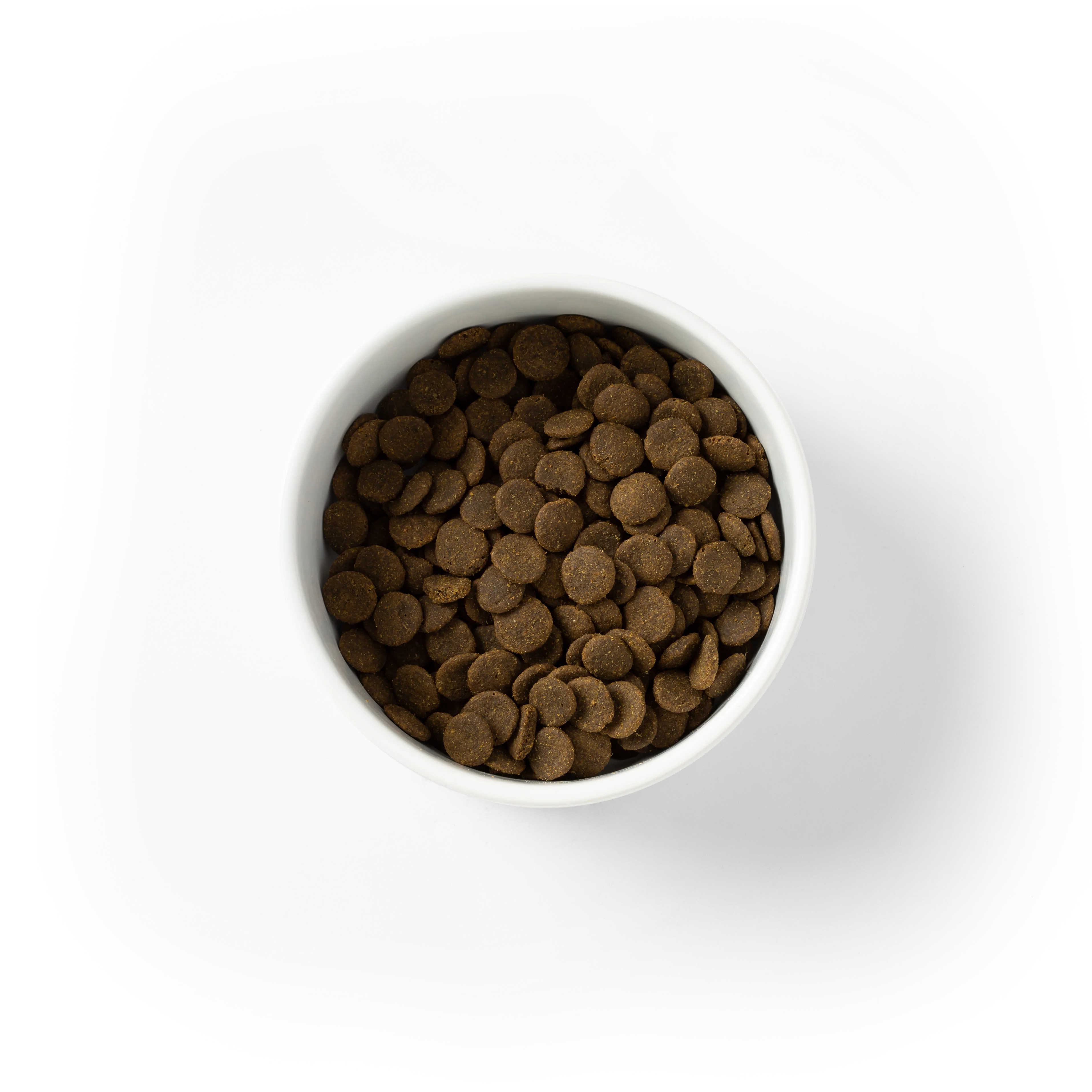 SavourLife - Grain Free Kangaroo & Chicken Dog Dry Food (10kg) - Image 8