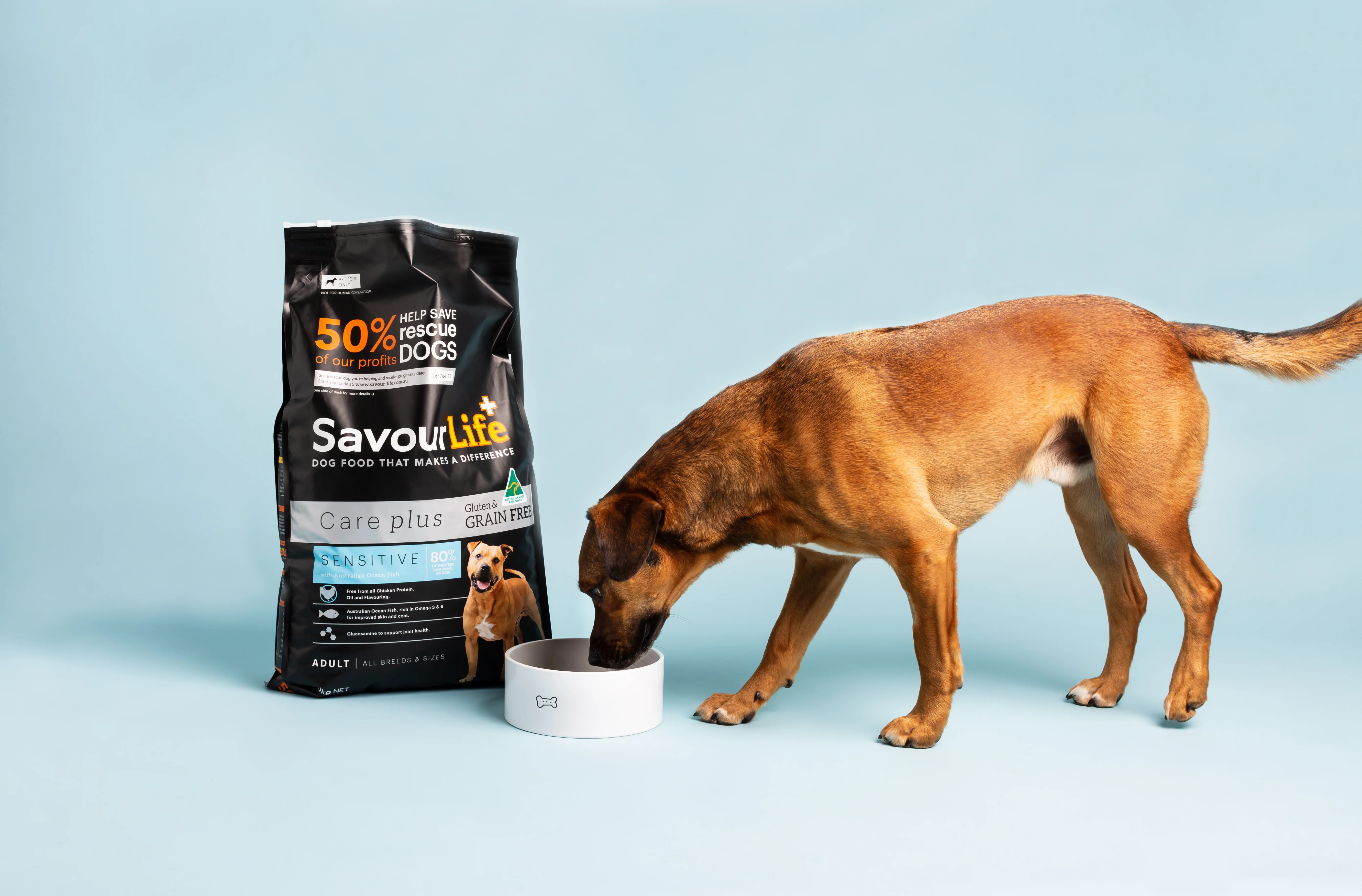 SavourLife - Grain Free Ocean Fish CarePlus Sensitive Dog Dry Food (10kg) - Image 9