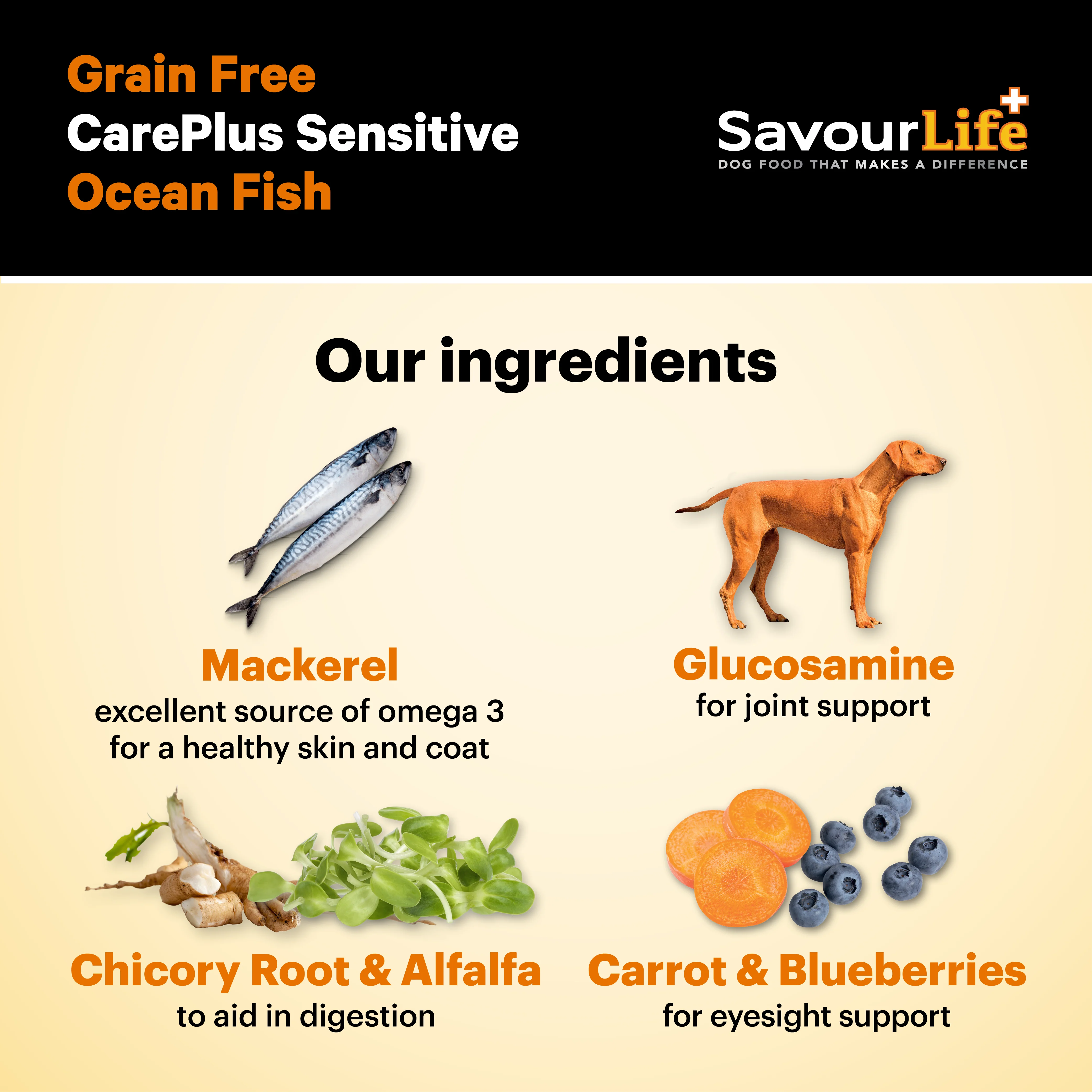 SavourLife - Grain Free Ocean Fish CarePlus Sensitive Dog Dry Food (2.5kg) - Image 5