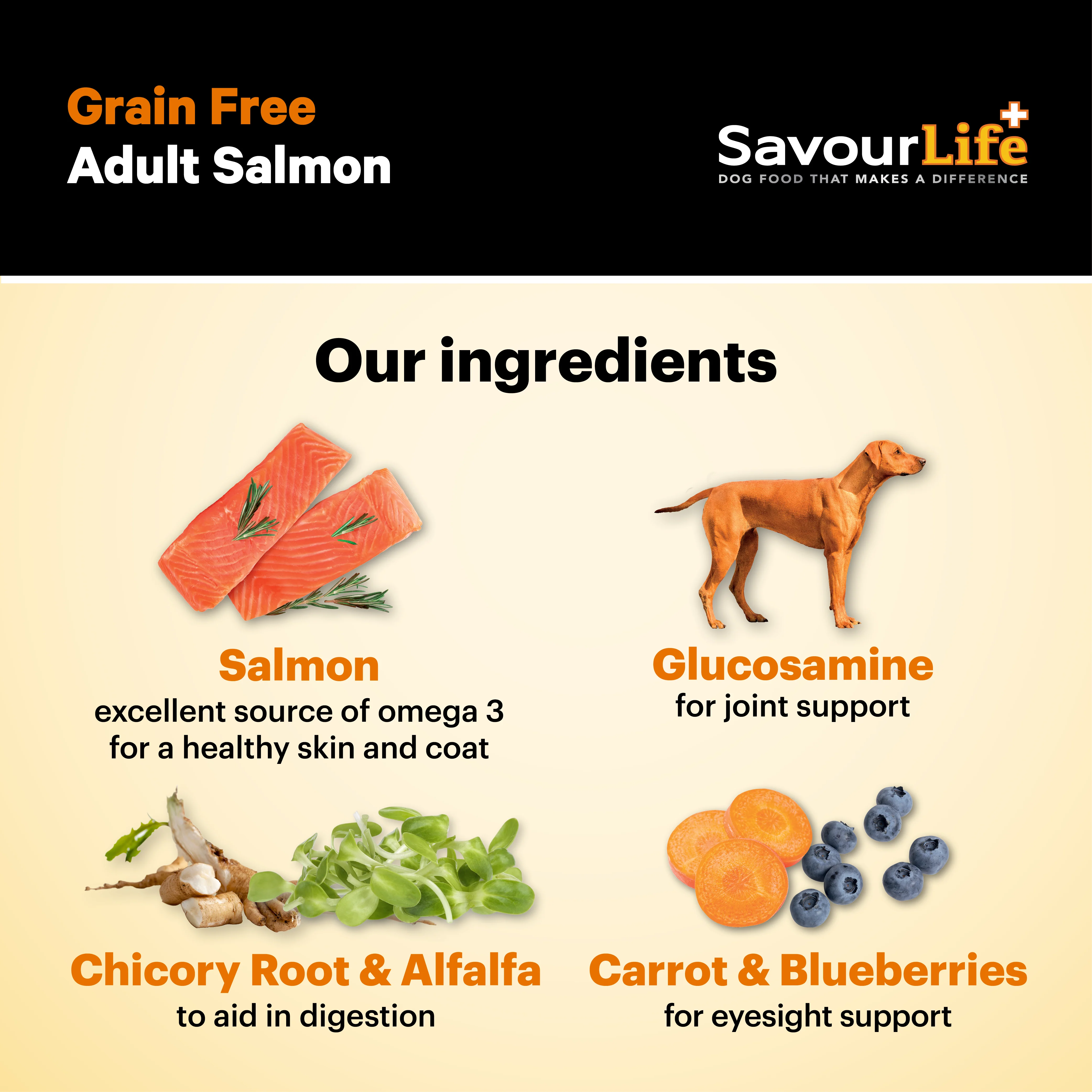 SavourLife - Grain Free Salmon Dog Dry Food (10kg) - Image 5