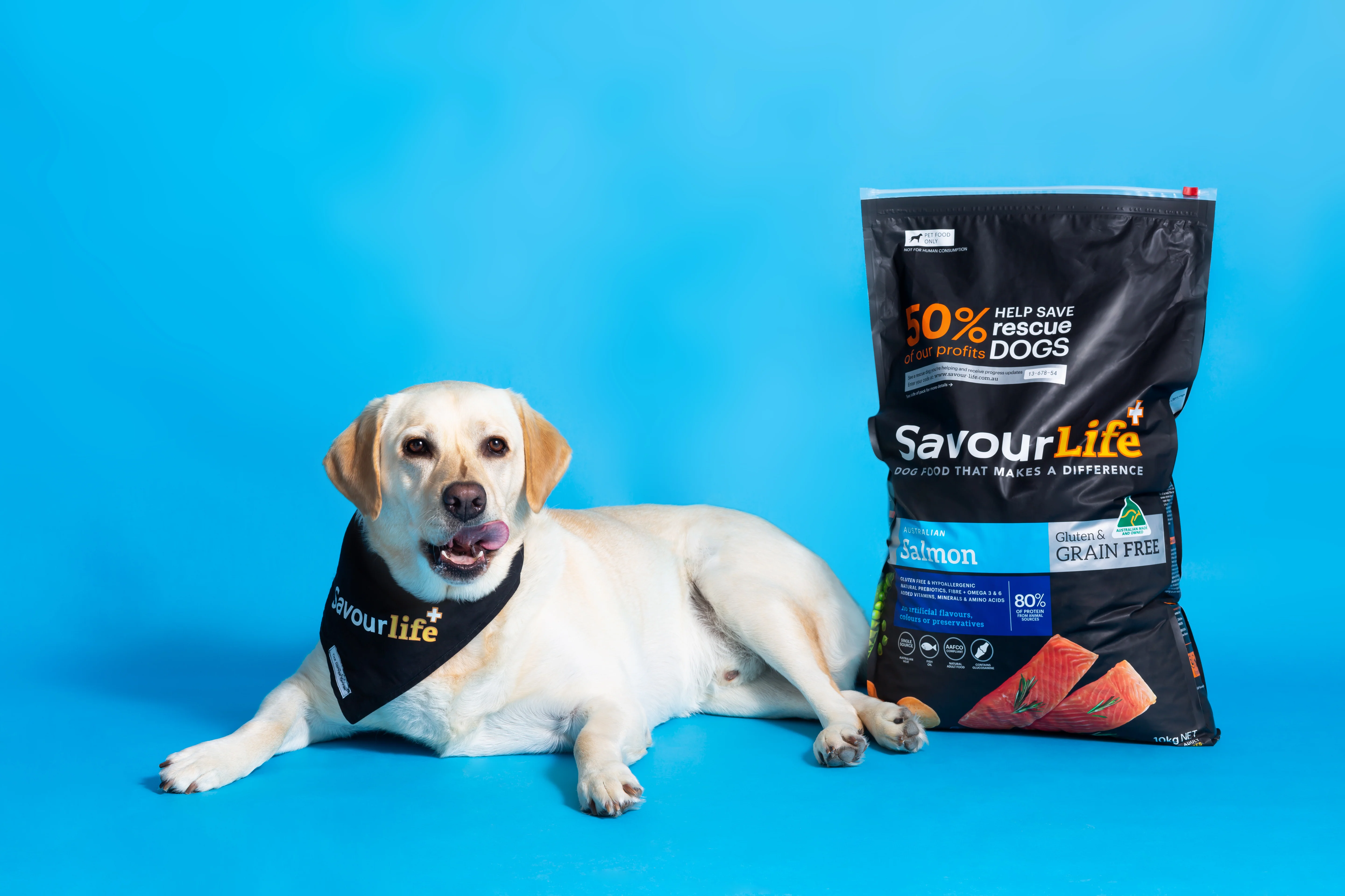 SavourLife - Grain Free Salmon Dog Dry Food (10kg) - Image 9
