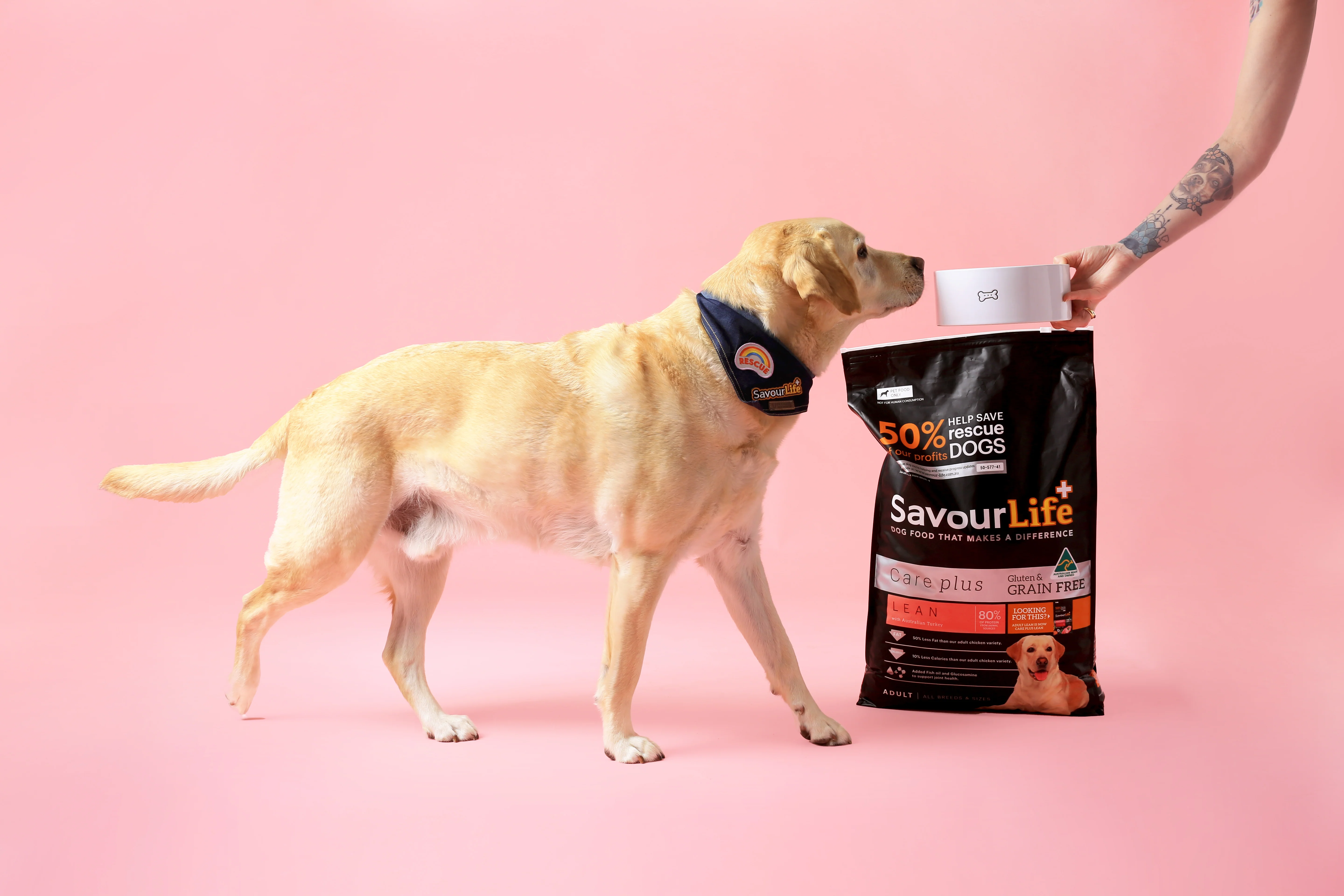 SavourLife - Grain Free Turkey CarePlus Lean Dog Dry Food (10kg) - Image 10