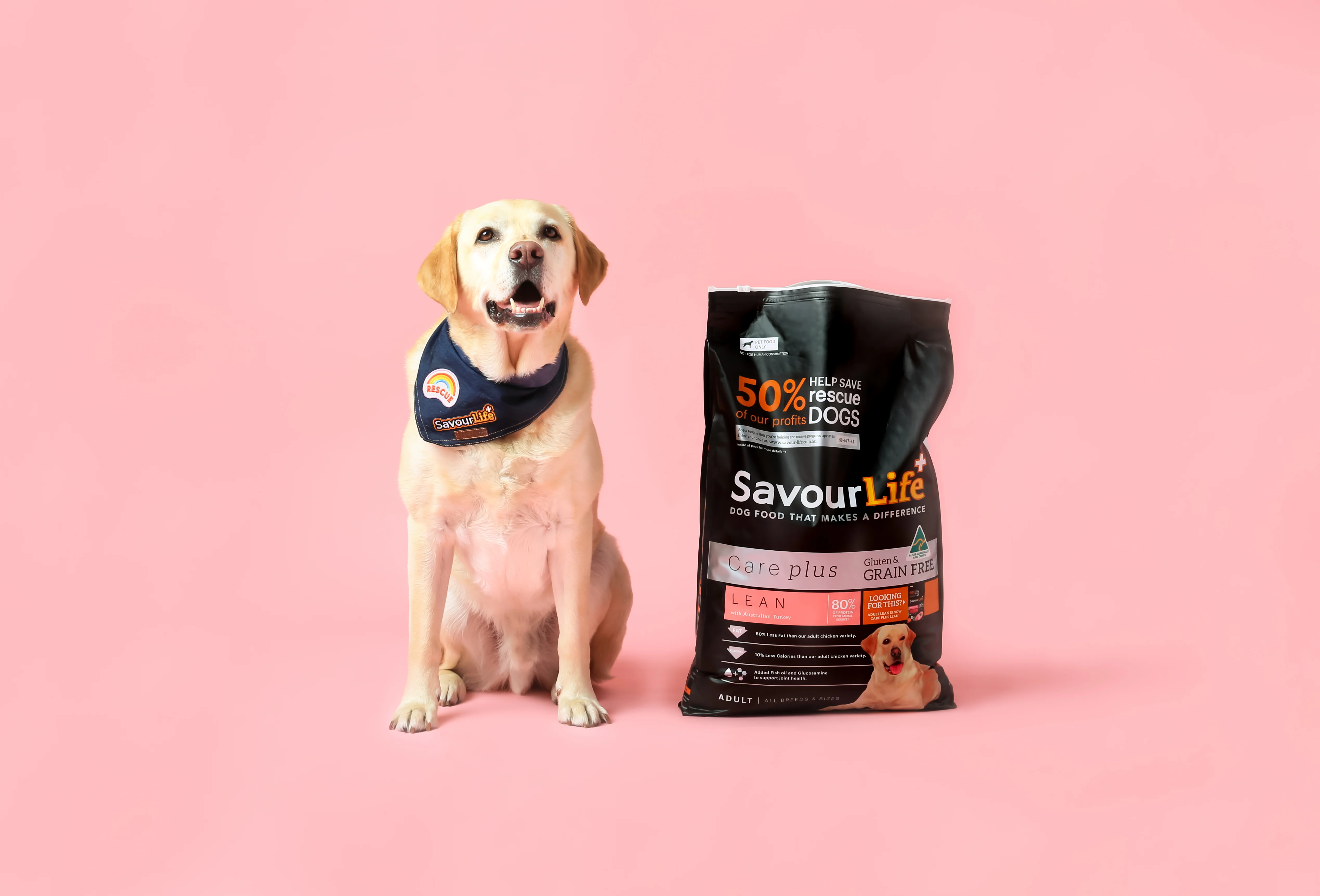 SavourLife - Grain Free Turkey CarePlus Lean Dog Dry Food (10kg) - Image 9
