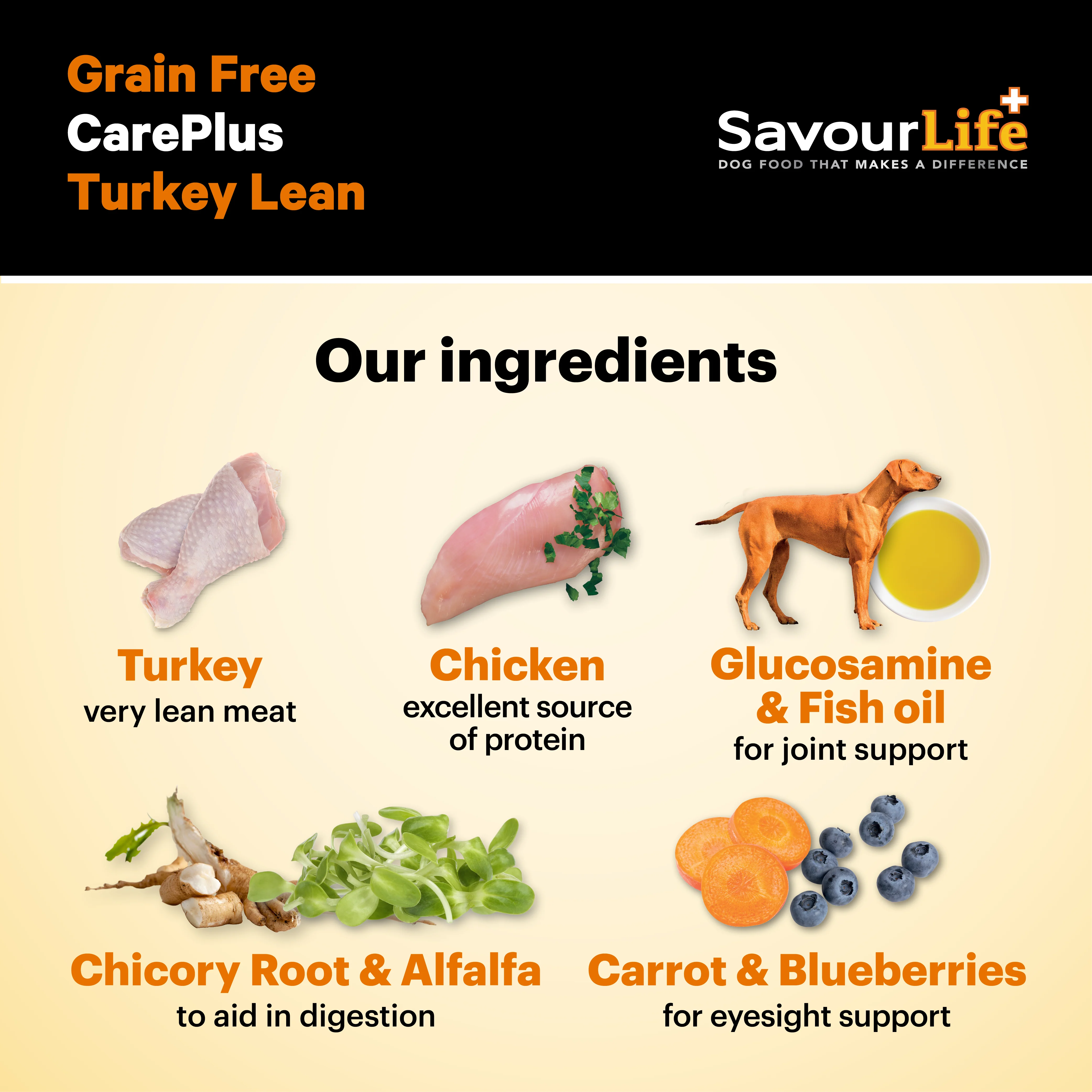 SavourLife - Grain Free Turkey CarePlus Lean Dog Dry Food (2.5kg) - Image 5