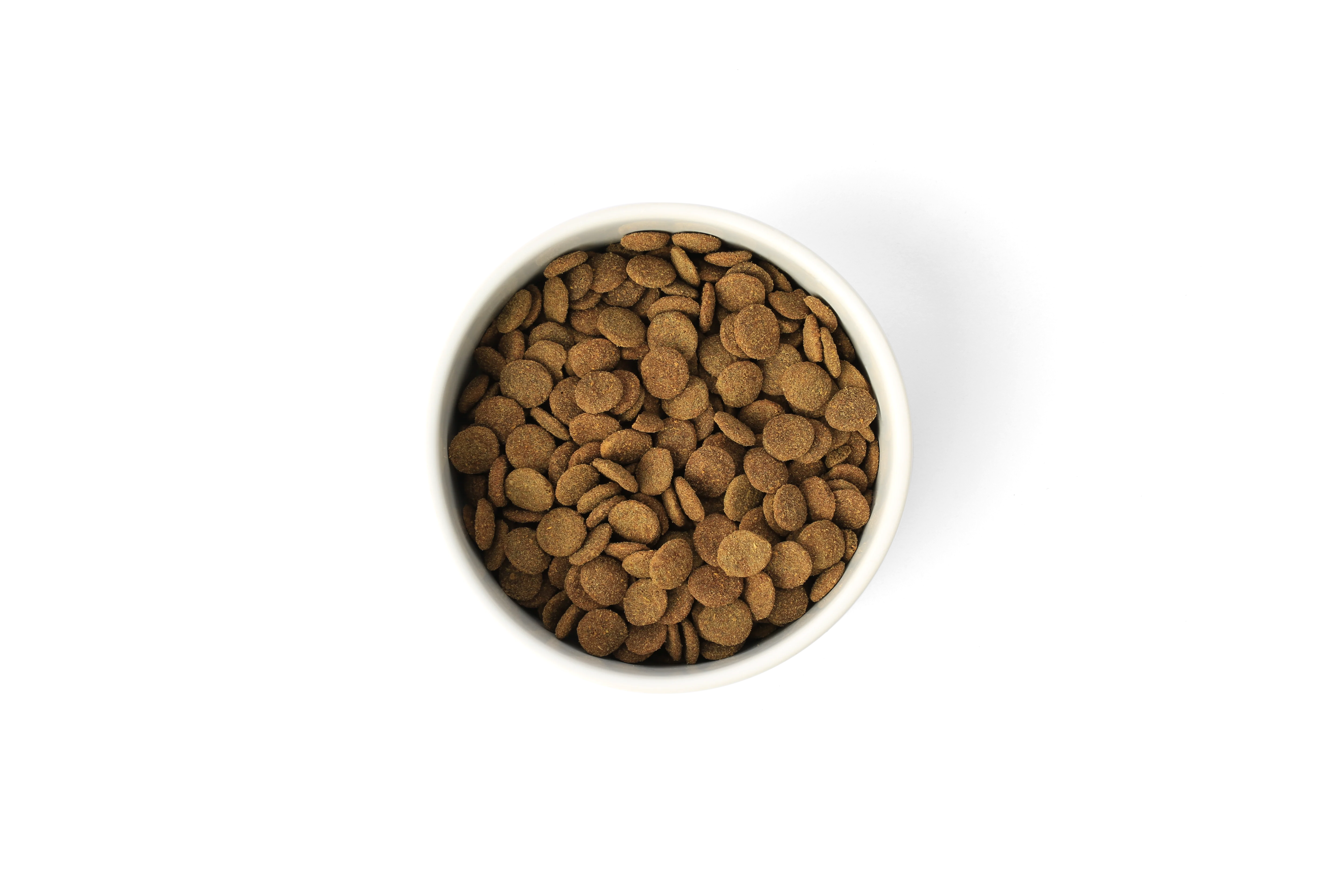 SavourLife - Grain Free Turkey CarePlus Lean Dog Dry Food (2.5kg) - Image 8