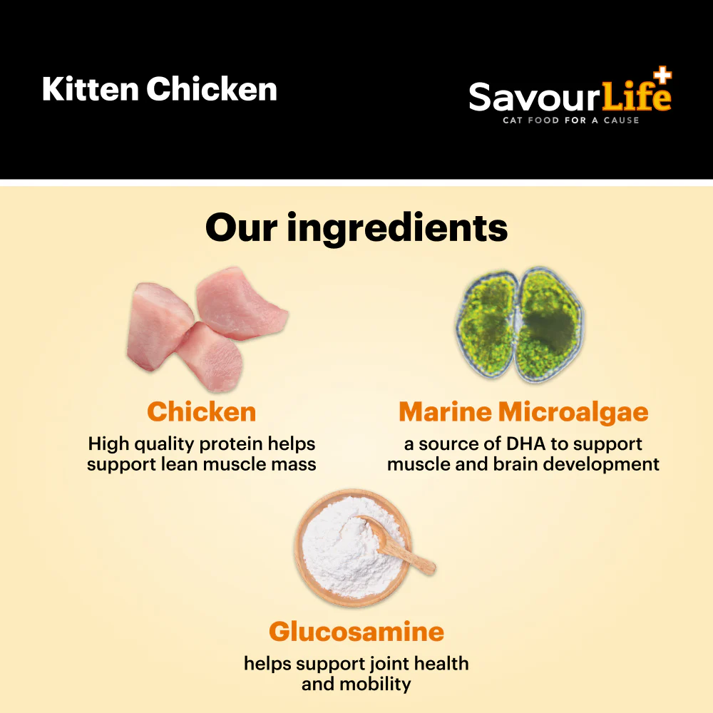 SavourLife Kitten Chicken Dry Cat Food (2kg) - Image 8