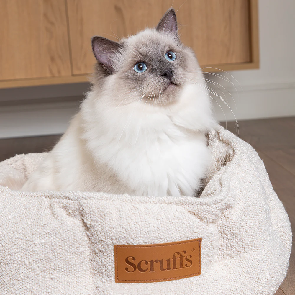 Scruffs Boucle Cat Bed 45cm - Ivory - Image 3
