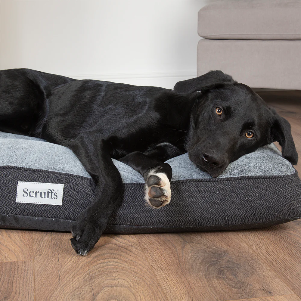 Scruffs - Harvard Orthopaedic Mattress Graphite Grey (100 x 70cm) - Image 5