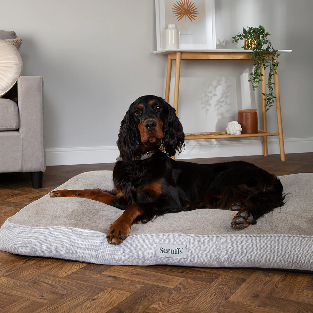 Scruffs - Harvard Orthopaedic Mattress Pearl Grey (100 x 70cm) - Image 4