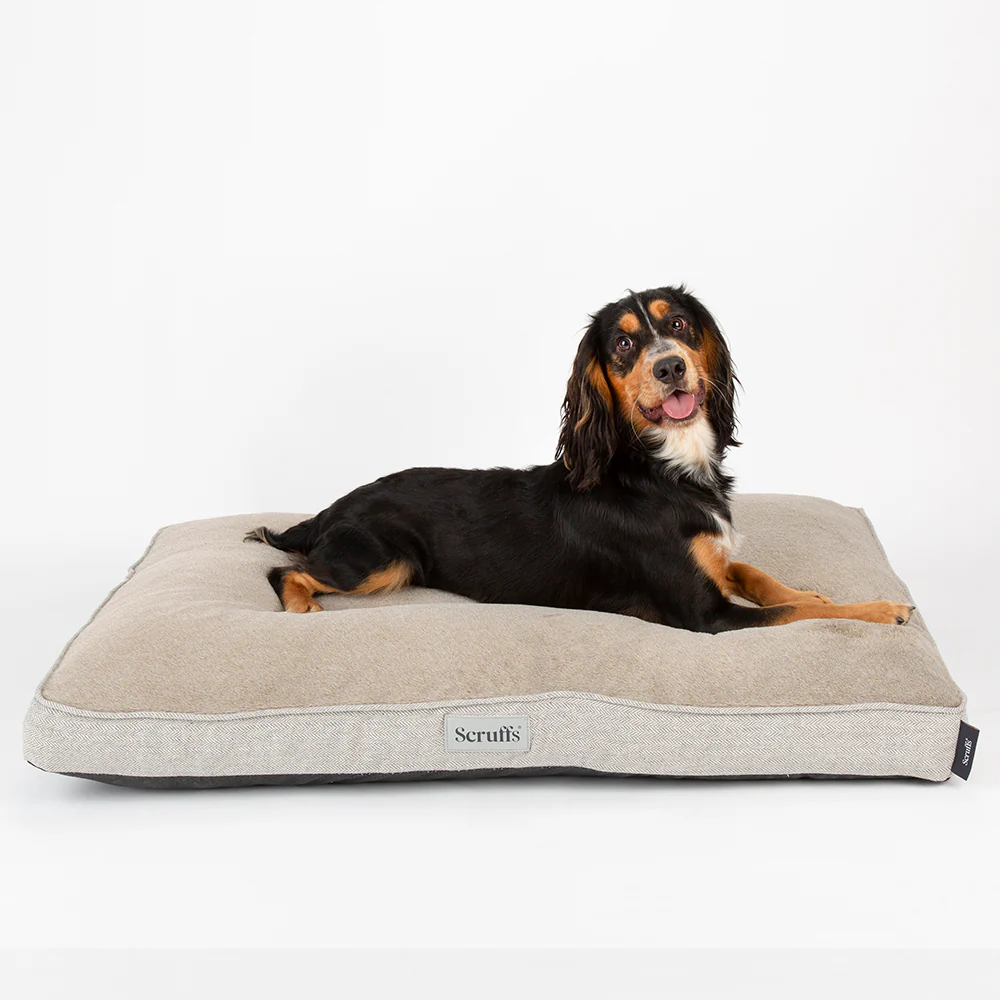 Scruffs - Harvard Orthopaedic Mattress Pearl Grey (100 x 70cm) - Image 5