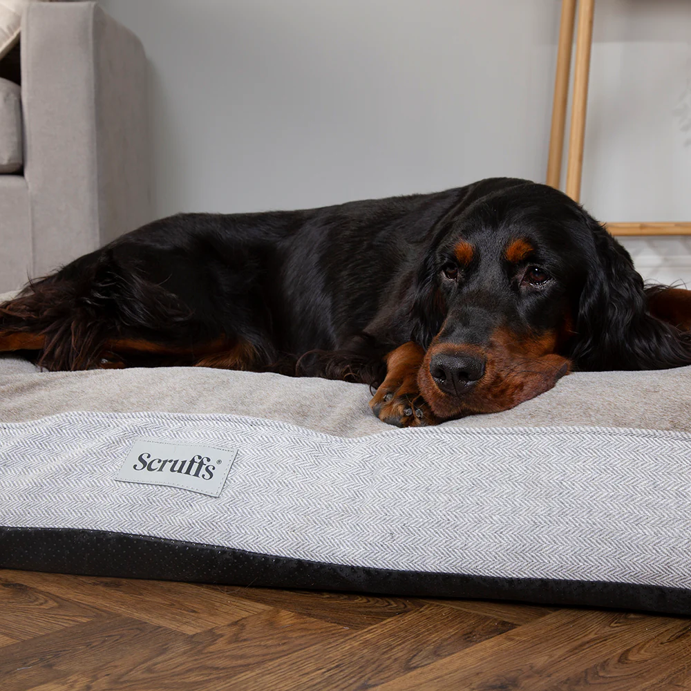 Scruffs - Harvard Orthopaedic Mattress Pearl Grey (120 x 75cm) - Image 5