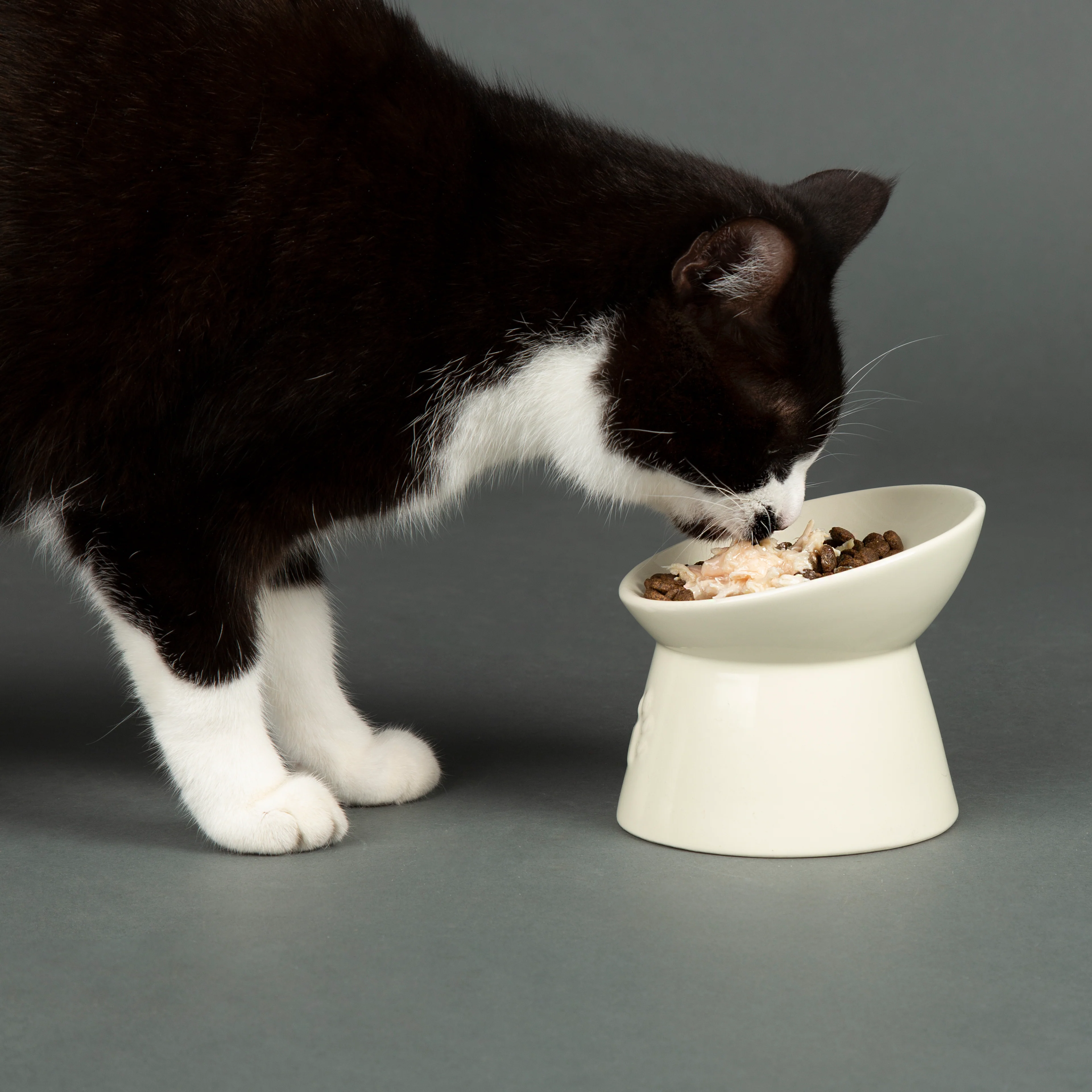 Scruffs - Icon Raised Cat Feeder Bowl Cream - Image 4