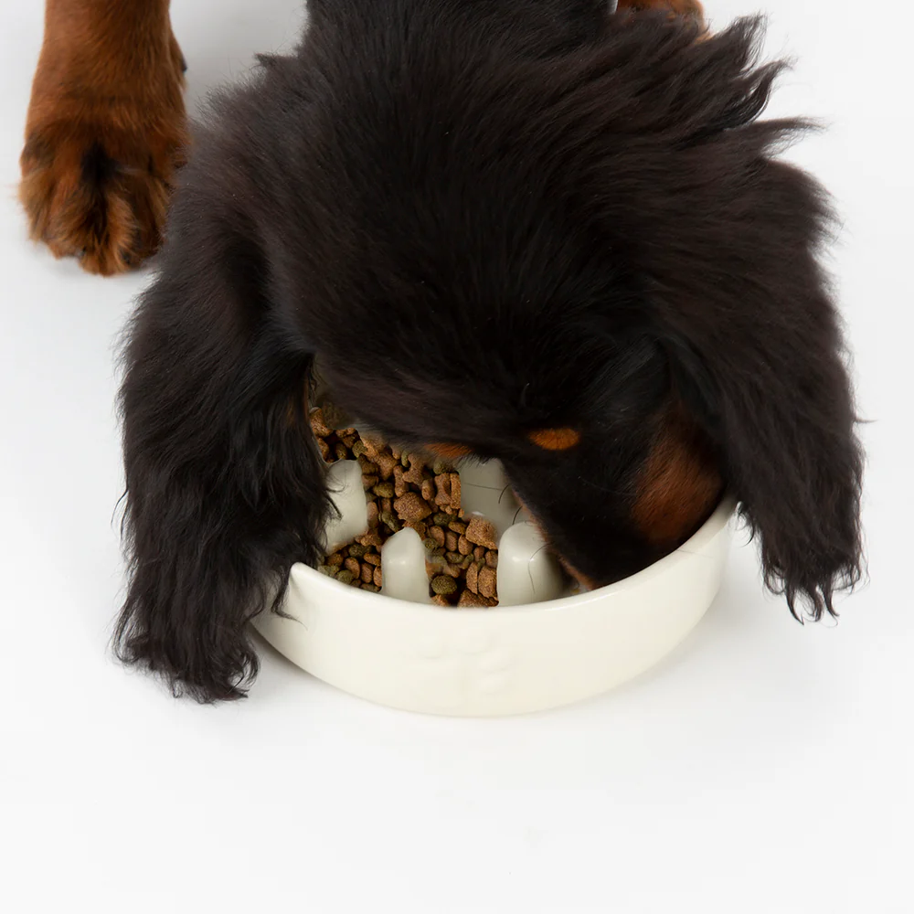 Scruffs - Icon Slow Feeder Pet Bowl Cream (16cm) - Image 4