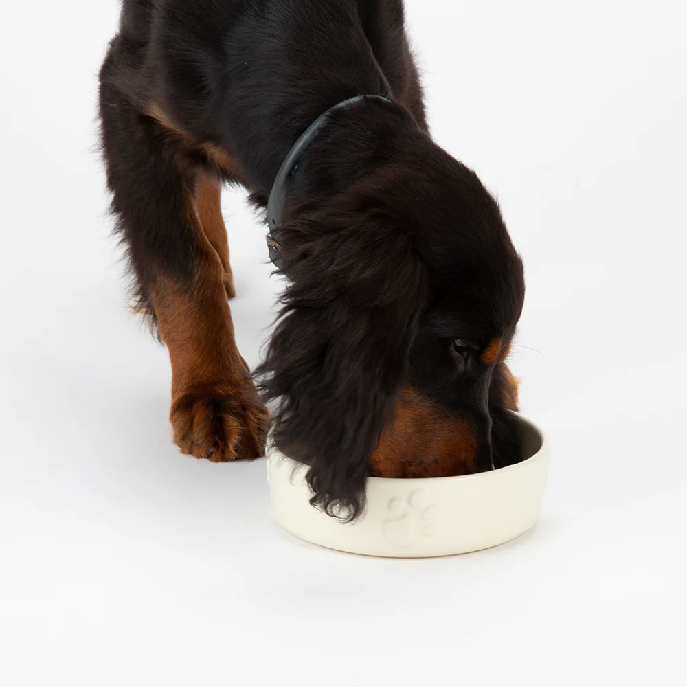 Scruffs - Icon Slow Feeder Pet Bowl Cream (20cm) - Image 4