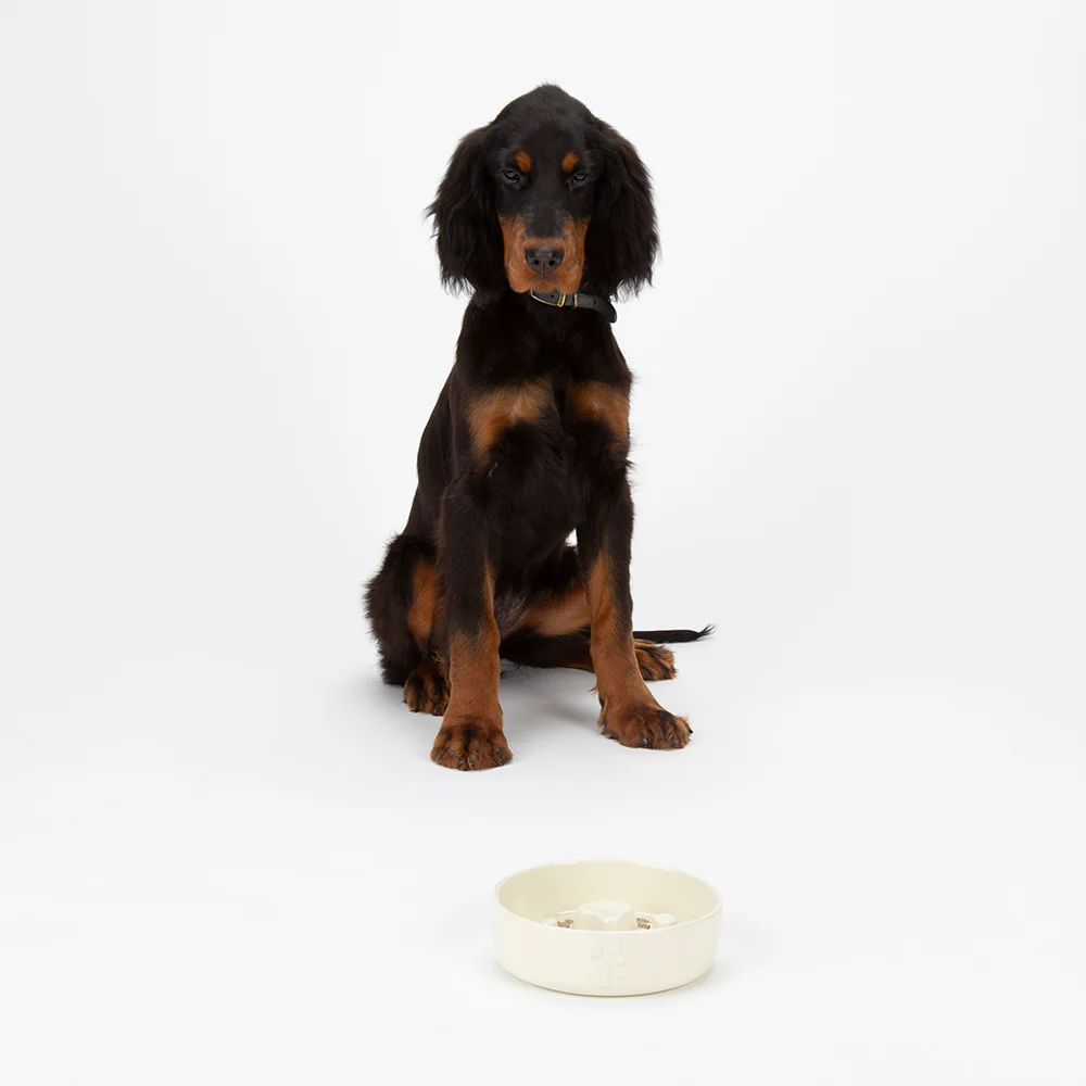 Scruffs - Icon Slow Feeder Pet Bowl Cream (20cm) - Image 5