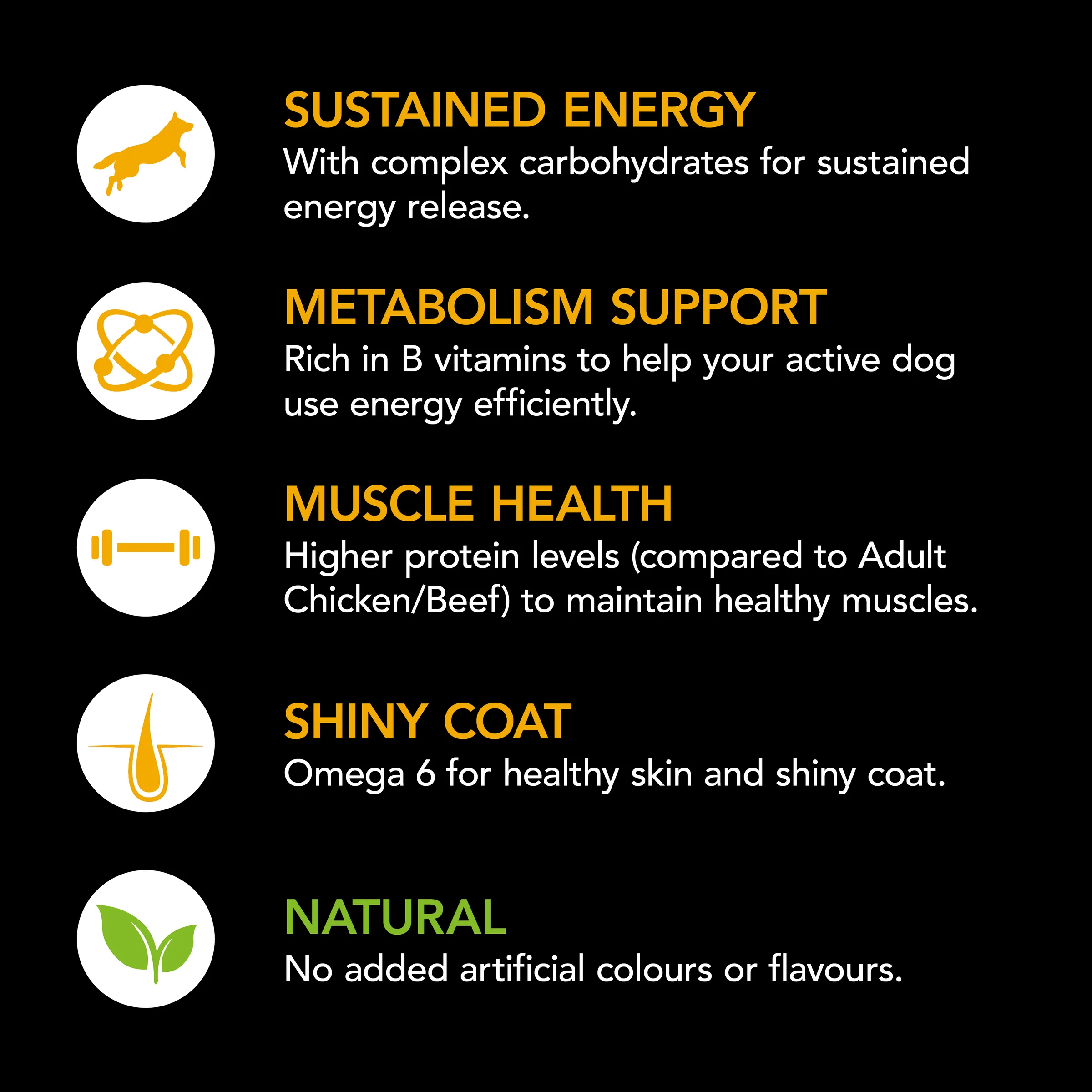 Supercoat - Active with Beef Dog Dry Food (18kg) - Image 2