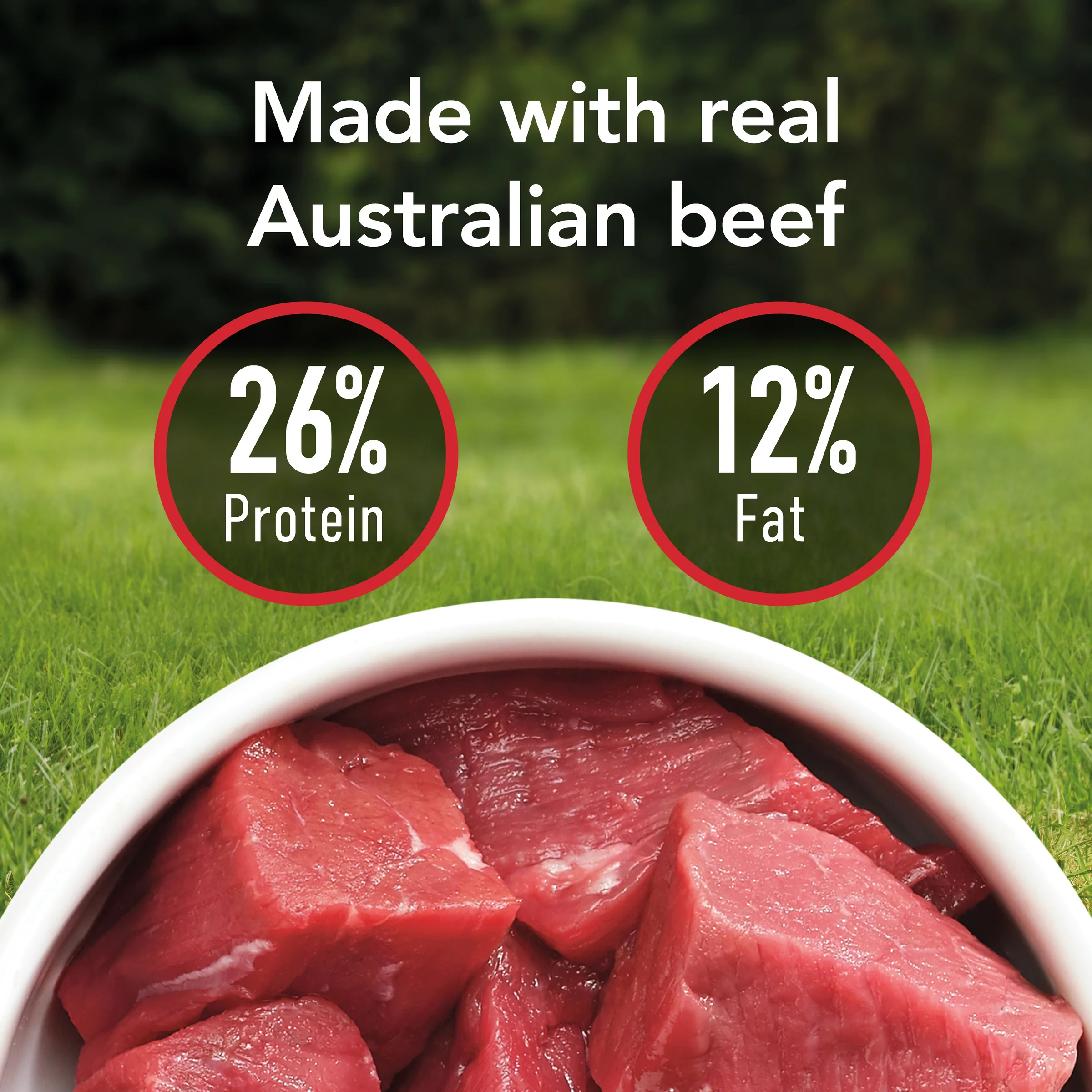 Supercoat - Active with Beef Dog Dry Food (18kg) - Image 9