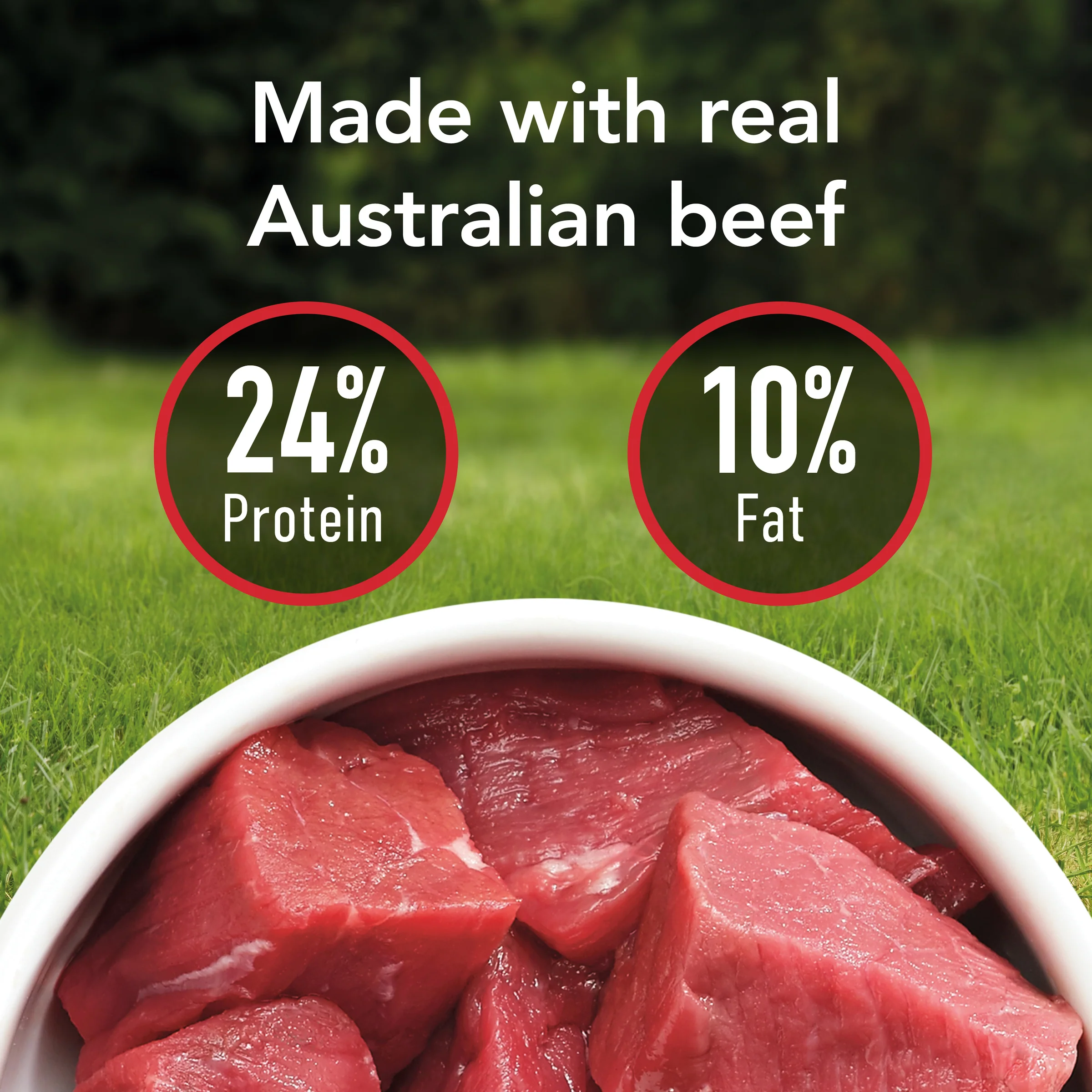 Supercoat - Adult with Beef Dog Dry Food (18kg) - Image 9