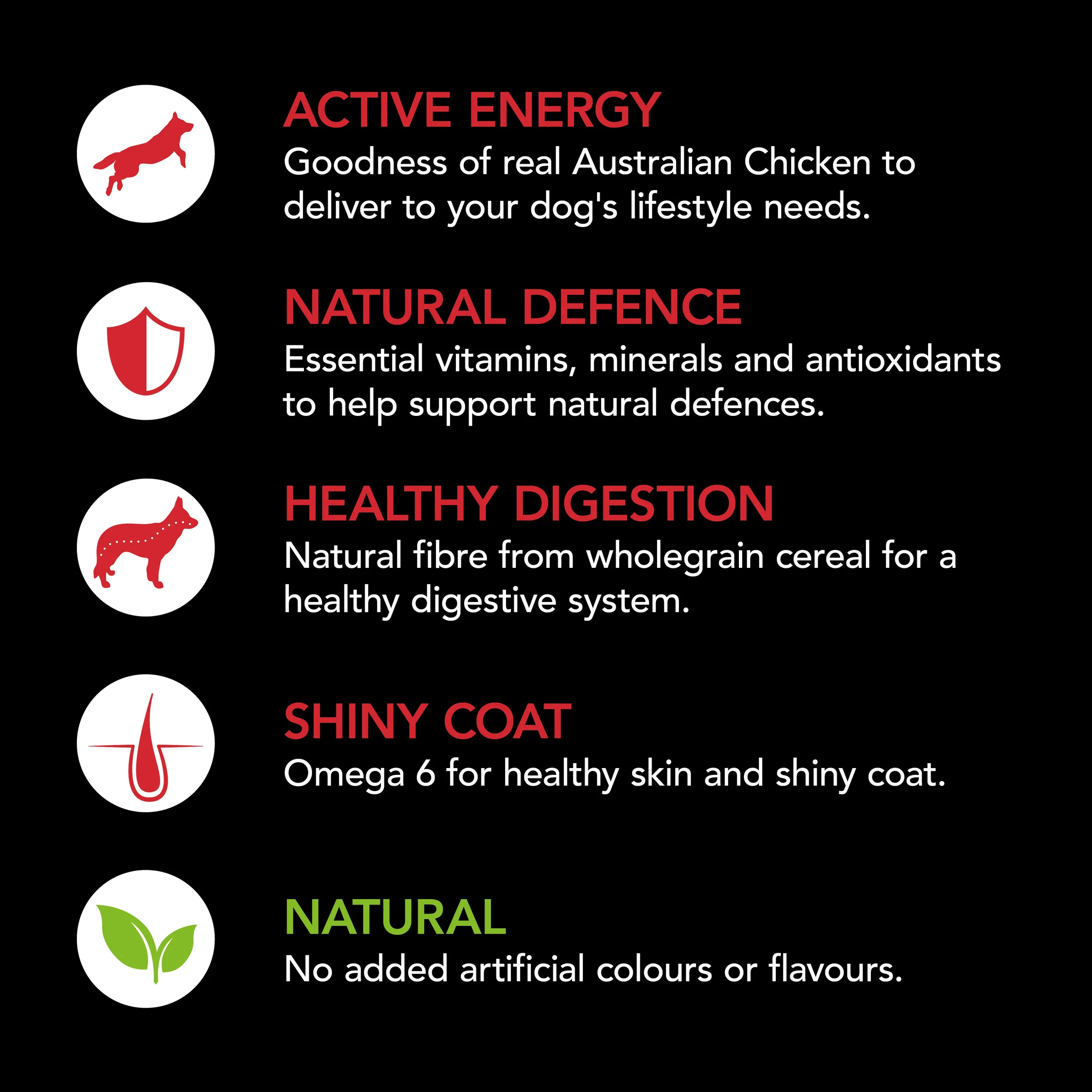 Supercoat - Adult with Chicken Dog Dry Food (18kg) - Image 2