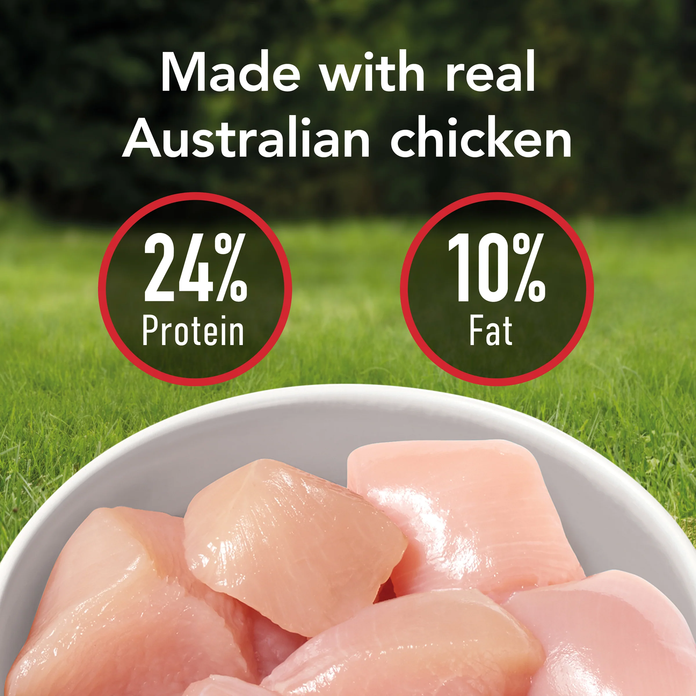 Supercoat - Adult with Chicken Dog Dry Food (18kg) - Image 9