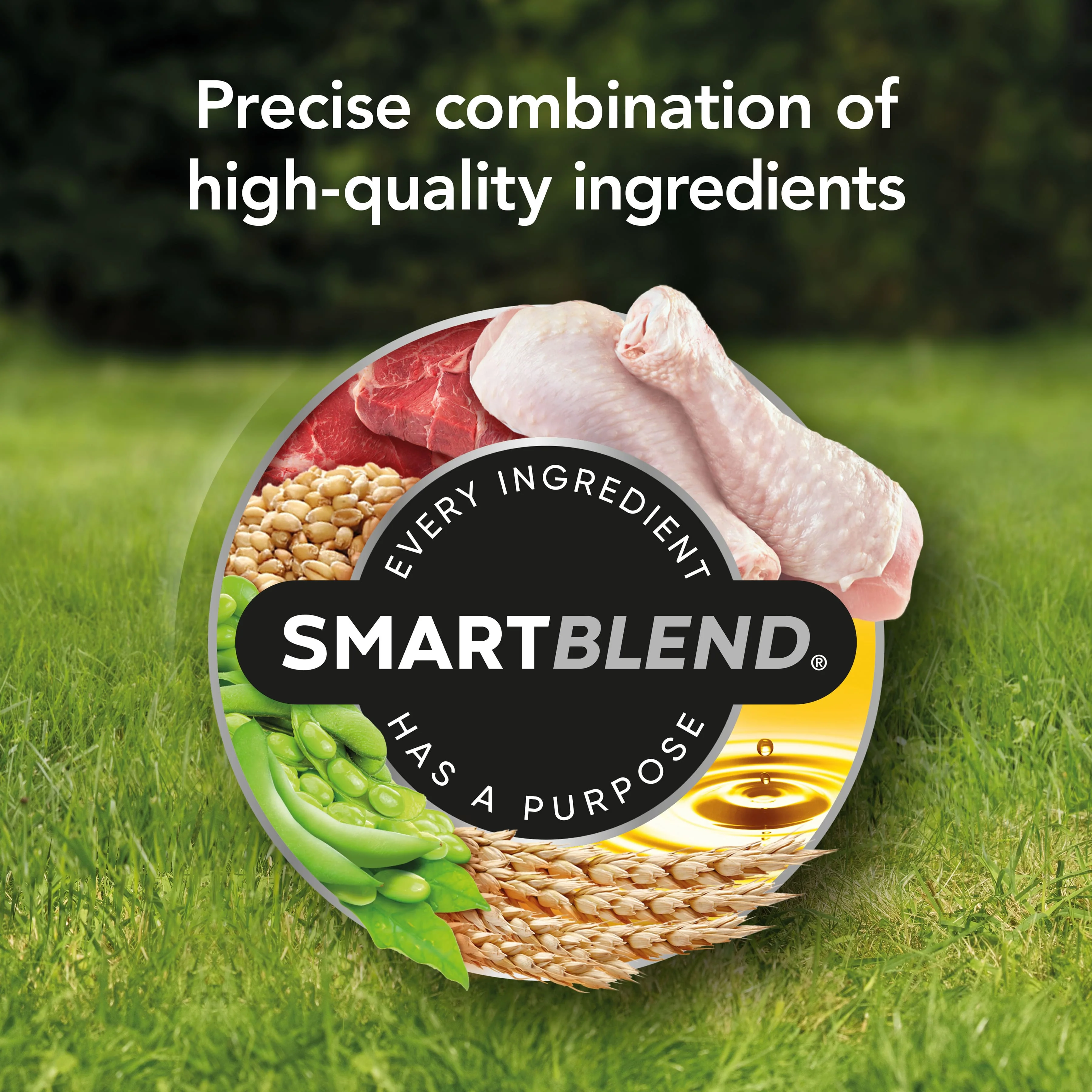 Supercoat Adult Dog Healthy Weight with Chicken 6.7kg - Image 5