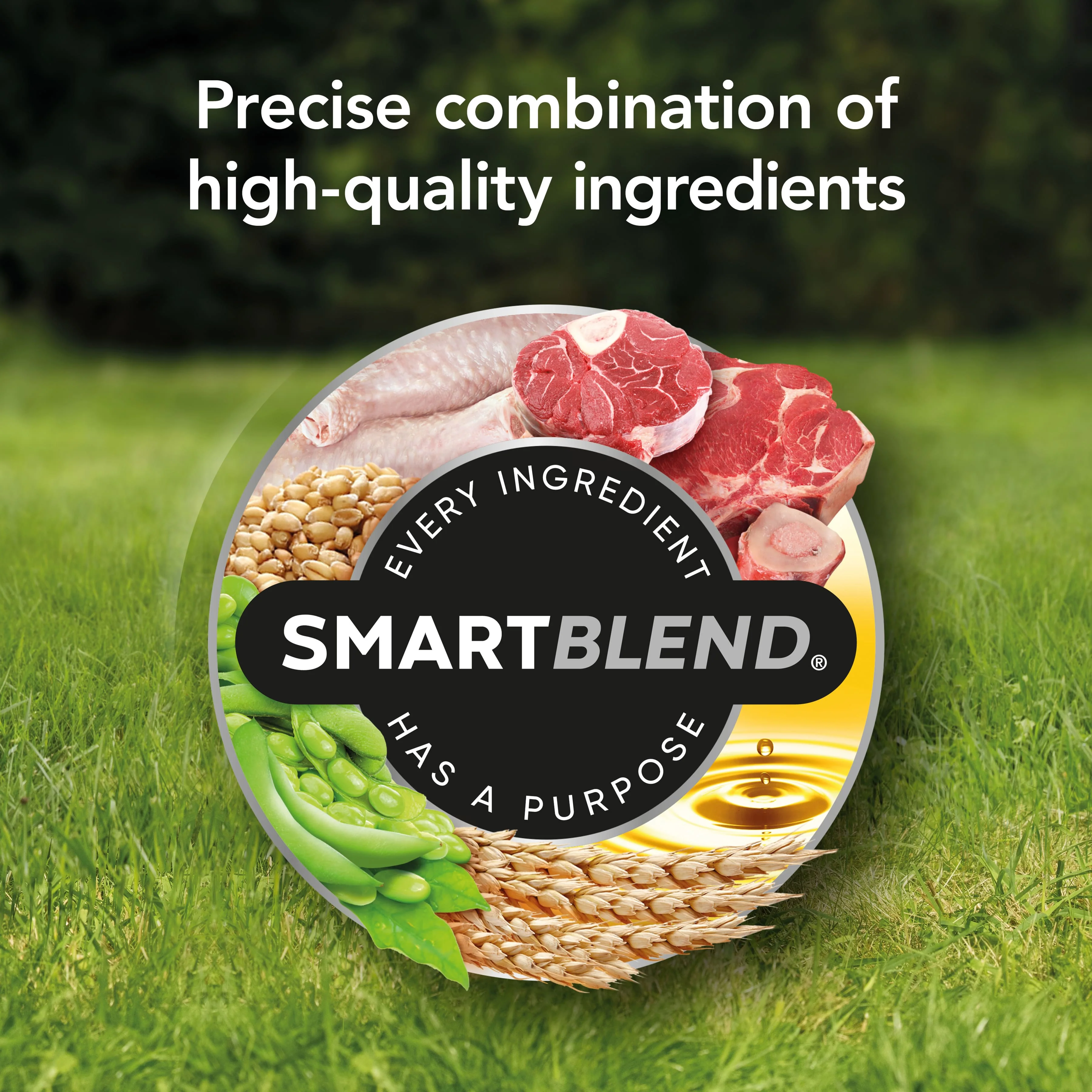 Supercoat Adult Dog with Beef 7kg - Image 5