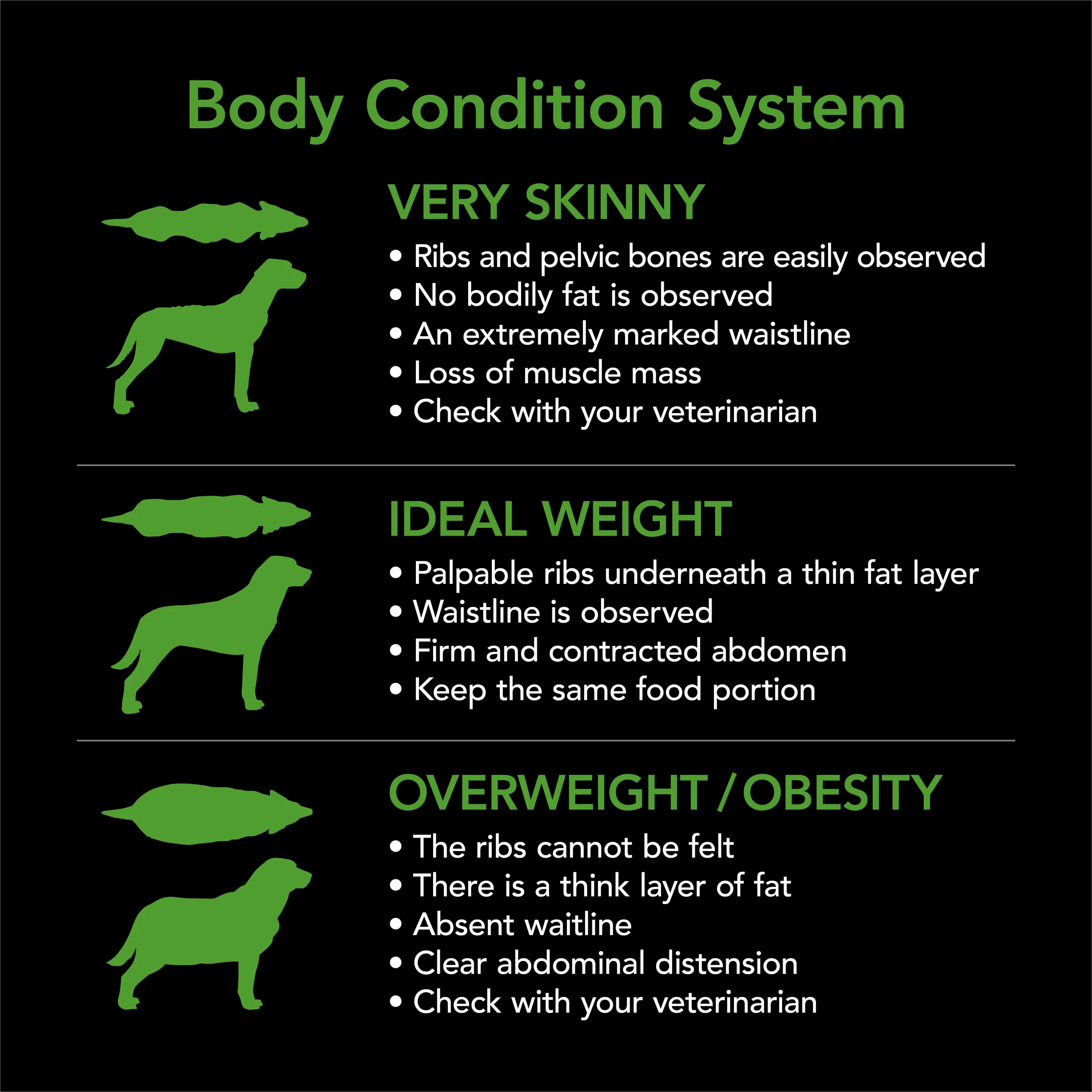 Supercoat - Healthy Weight with Chicken Dry Dog Food (18kg) - Image 8