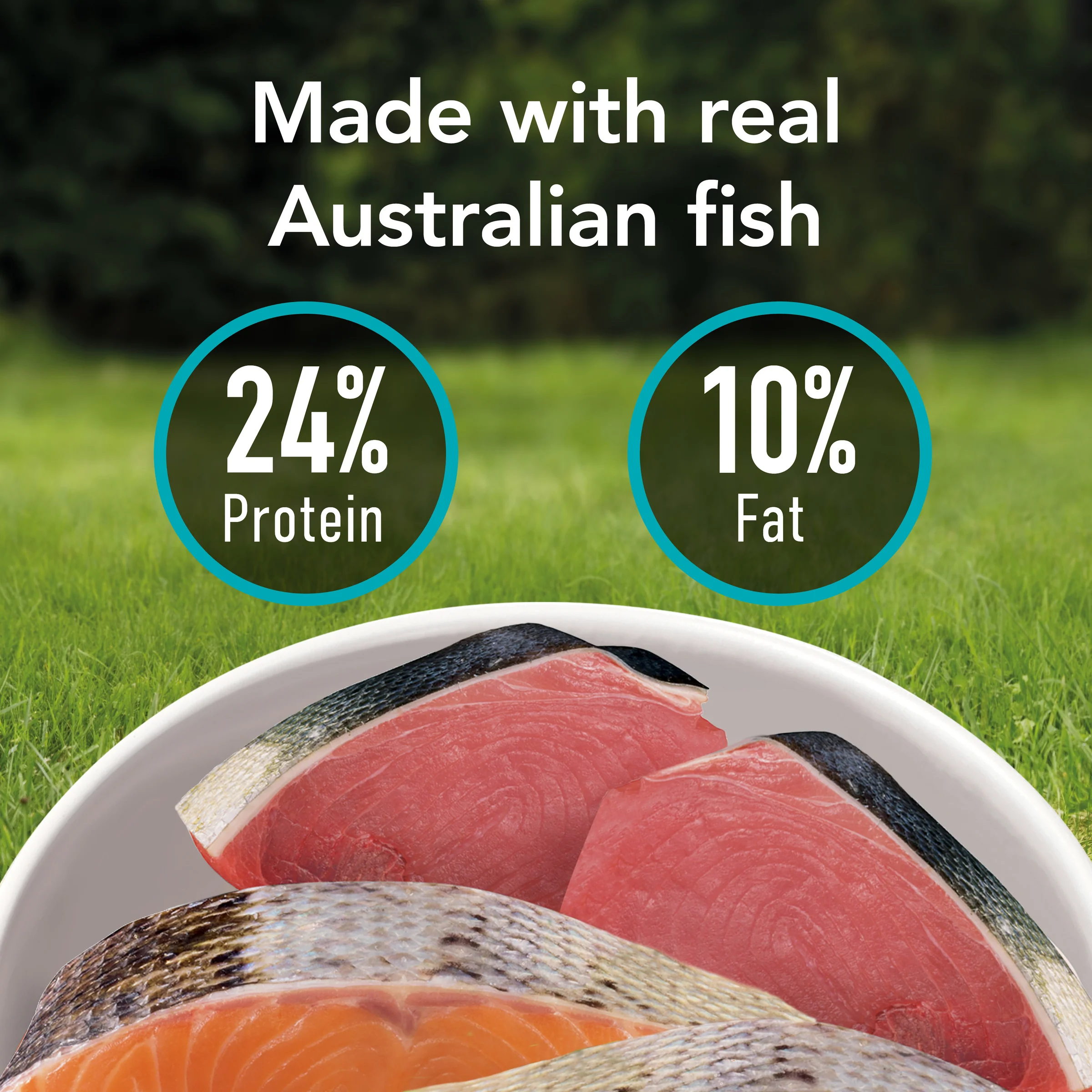 Supercoat - Sensitive with Fish Dog Dry Food (15kg) - Image 8