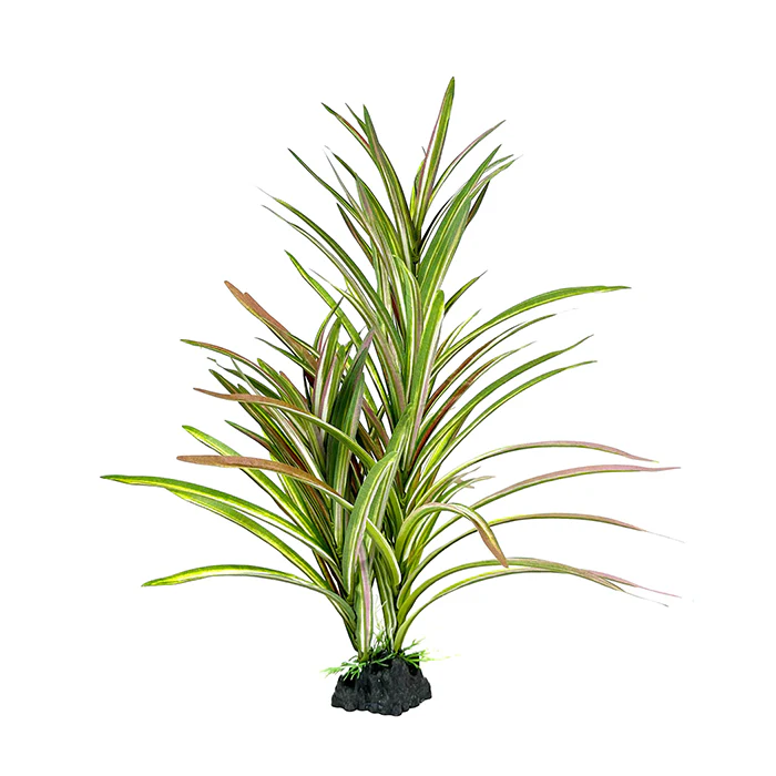 ***Upright Spinifex XL 42cm