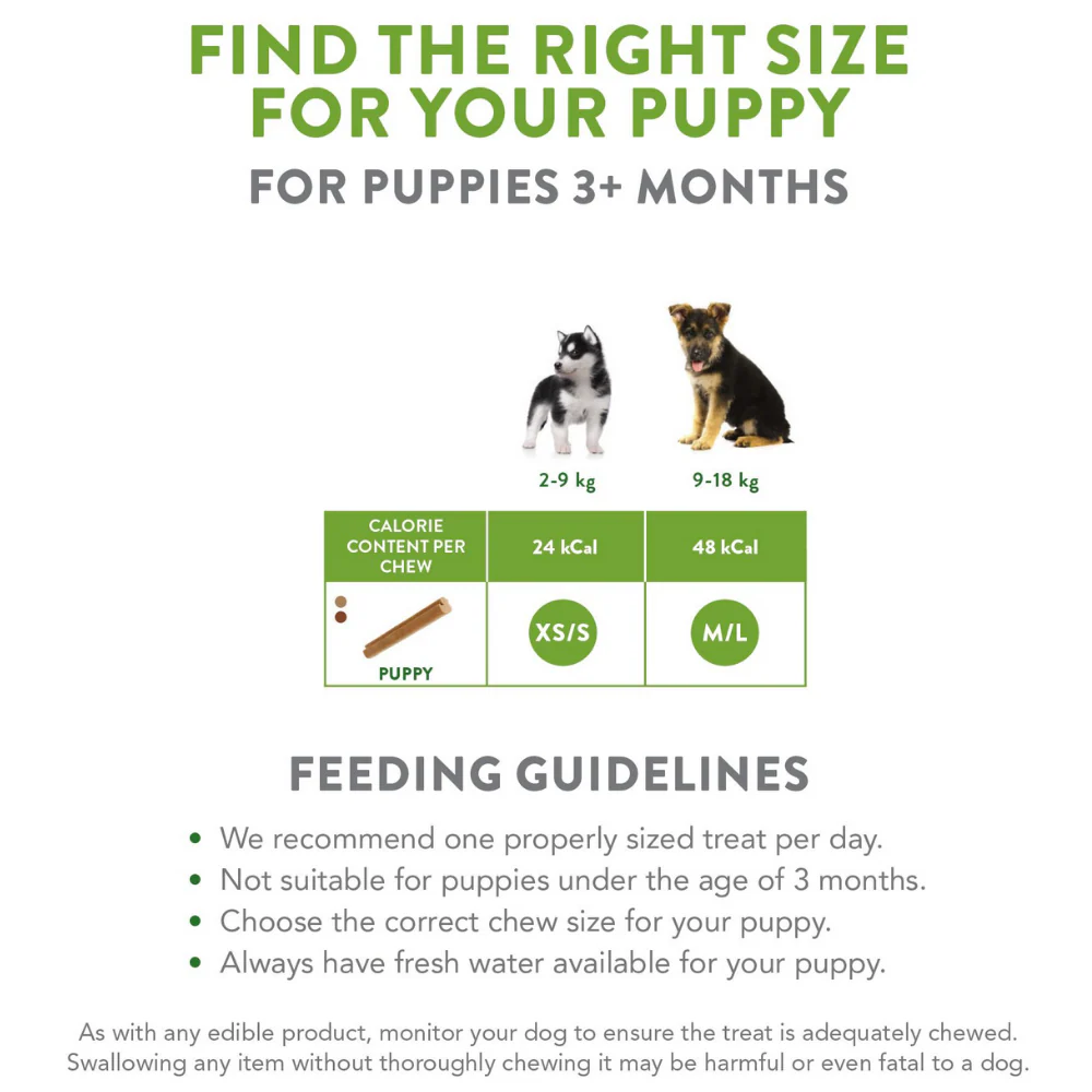 Whimzees - Puppy Dental Treats Value Bag (14pk) - Image 3
