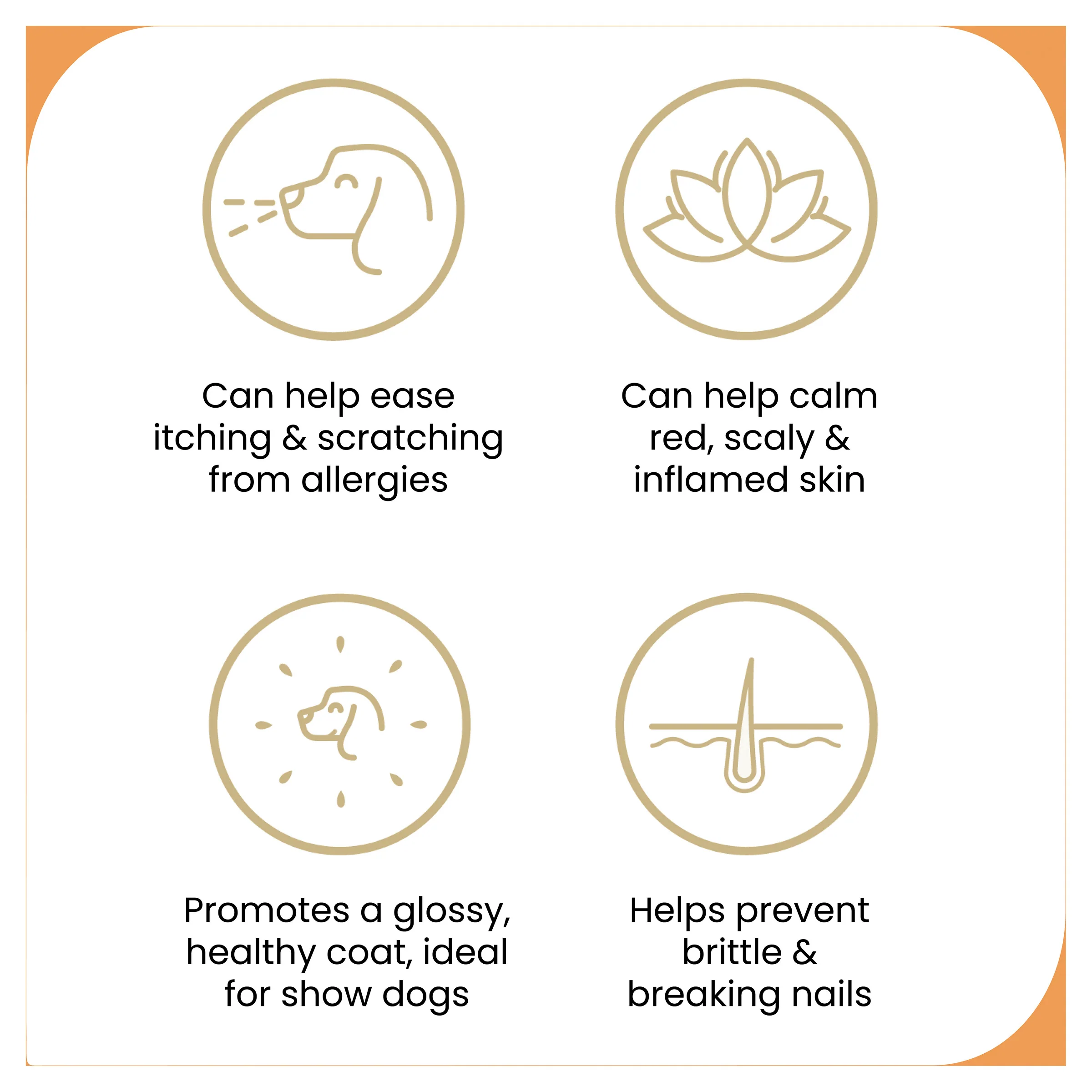 ZamiPet - Allergy & Itch Dog Chews (60pk) - Image 2